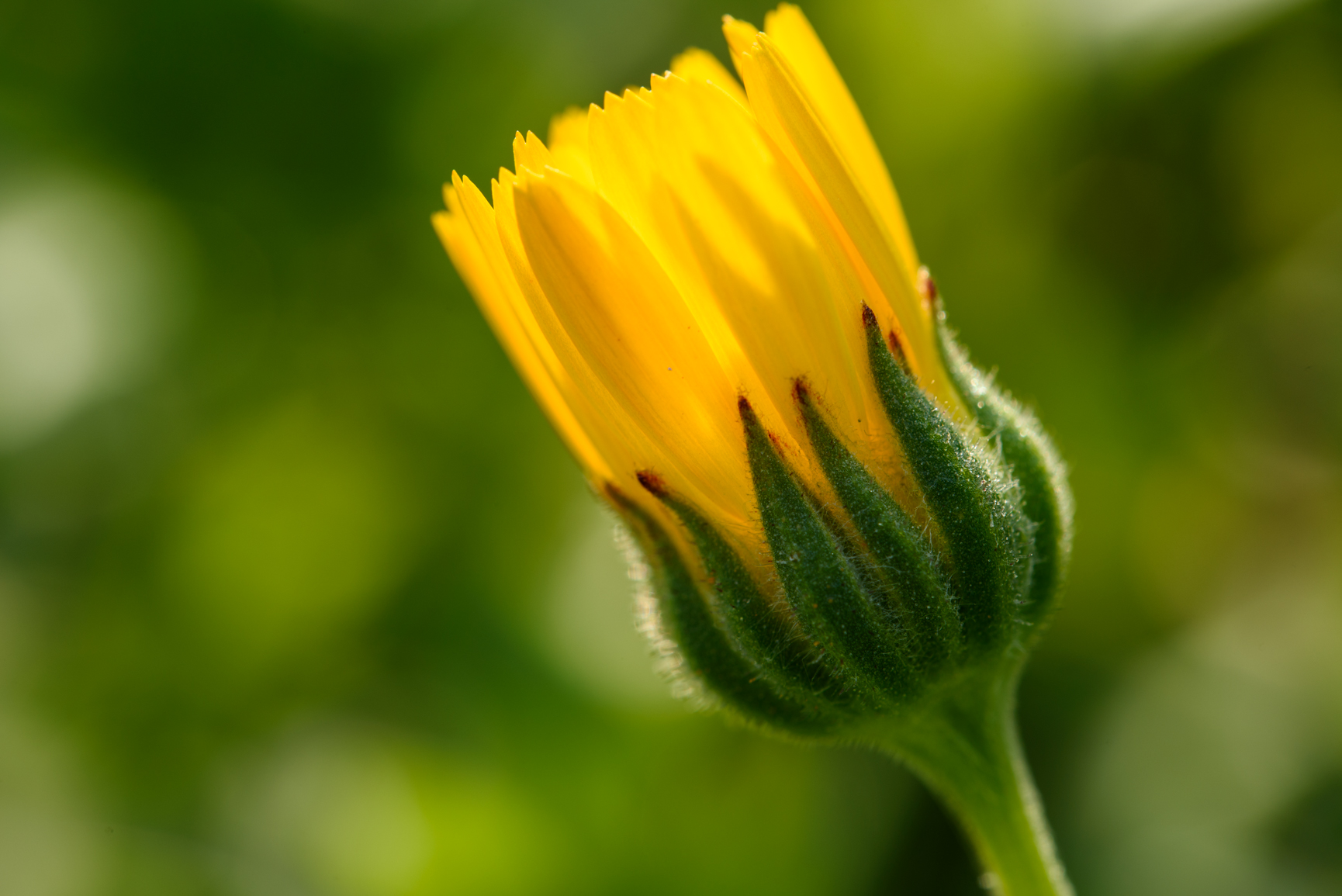 I am freaking vibrant!