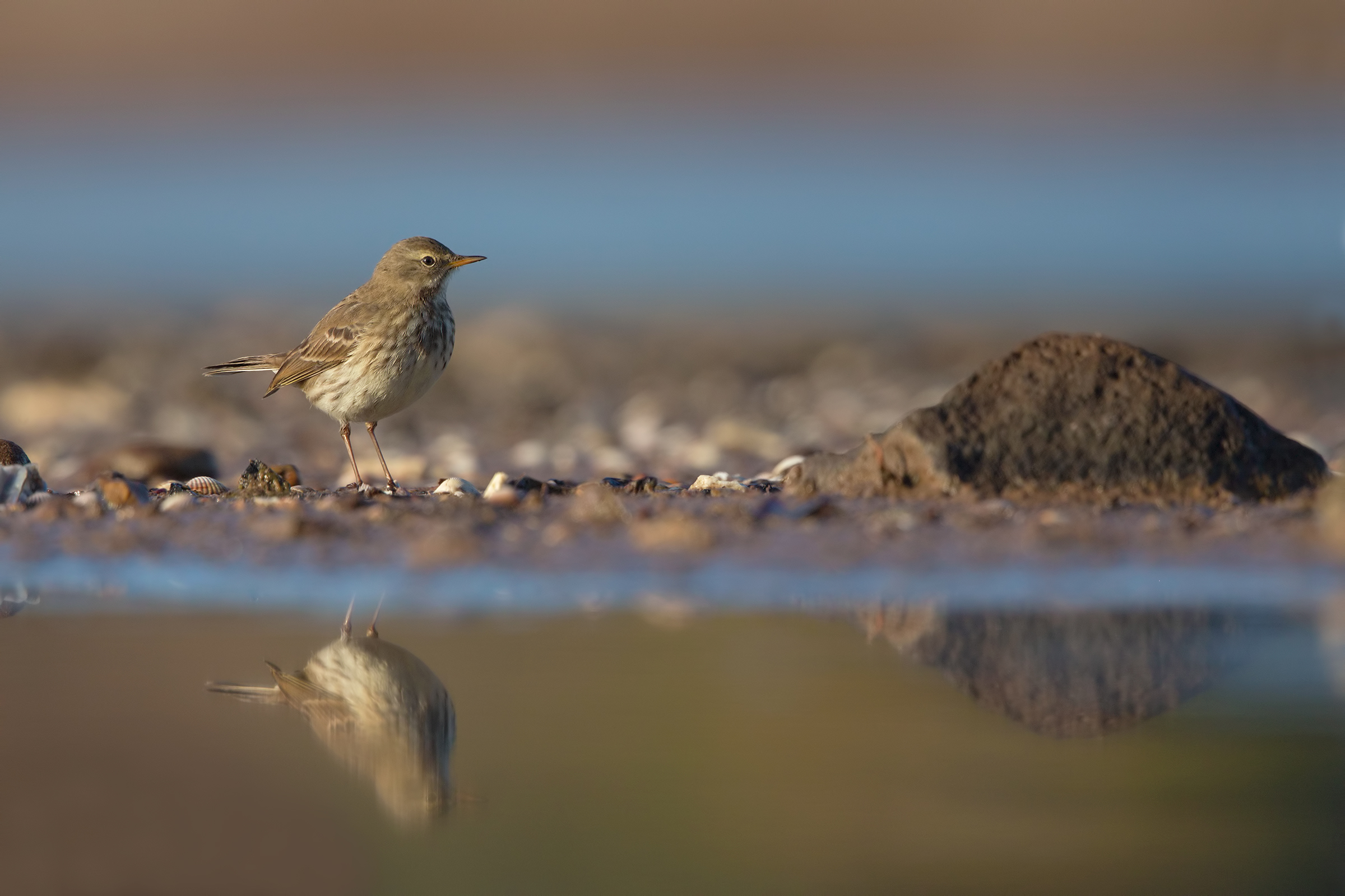 Lo spioncello e la roccia
