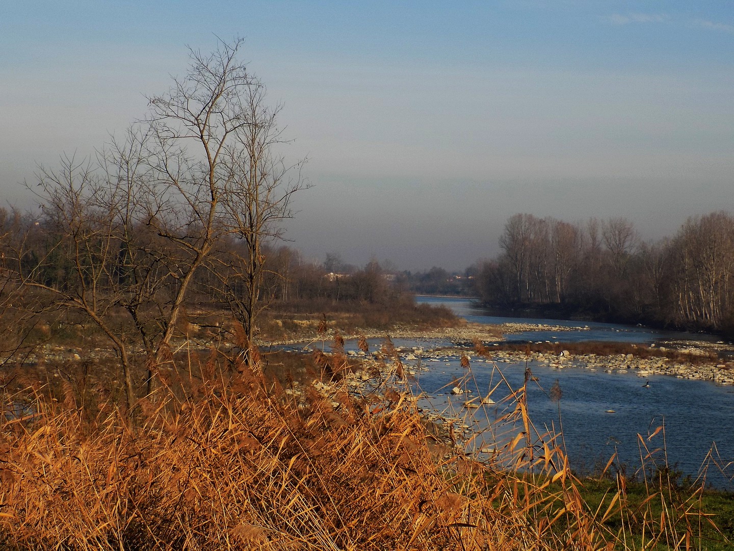 La confluenza tra Orba e Stura ad Ovada (al)