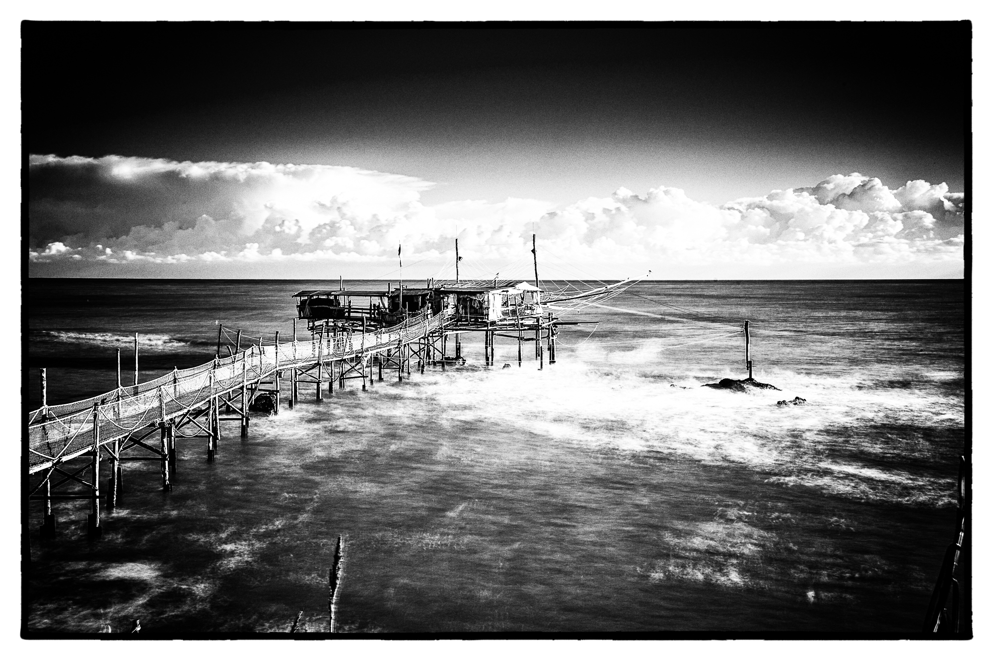 Overflow fish dogfish