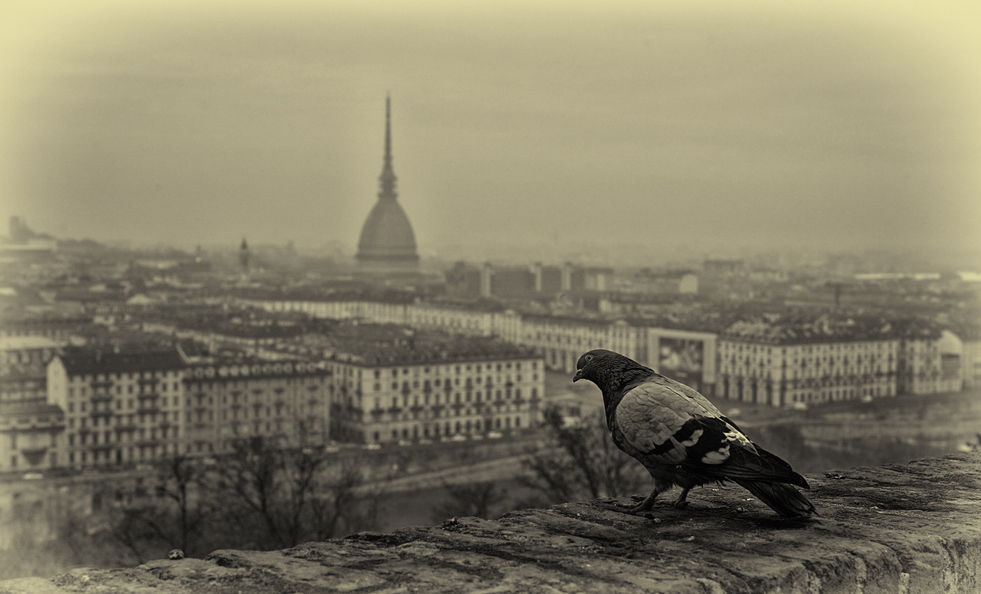 Fammi uno scatto . . .