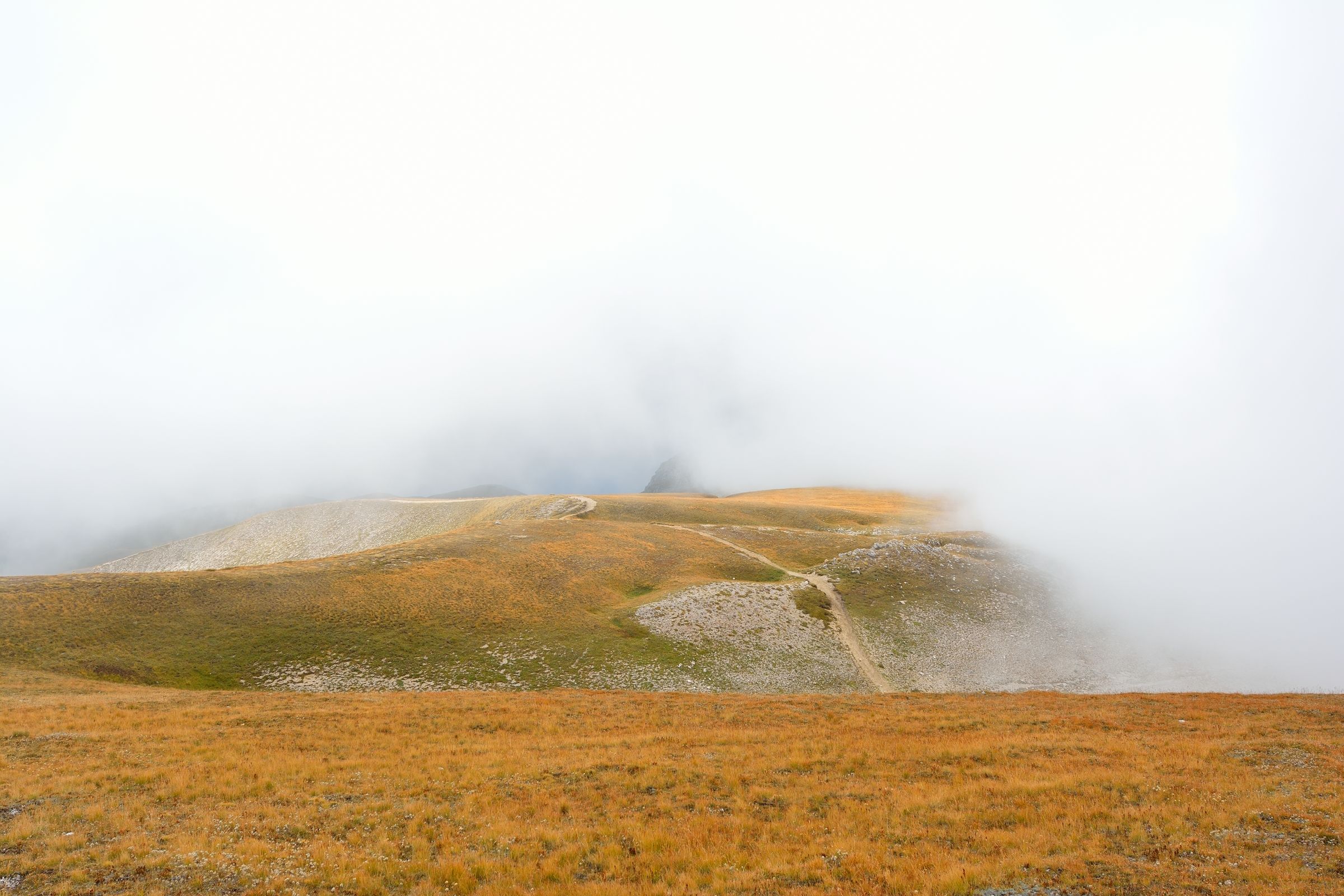 One day in the clouds, and then color
