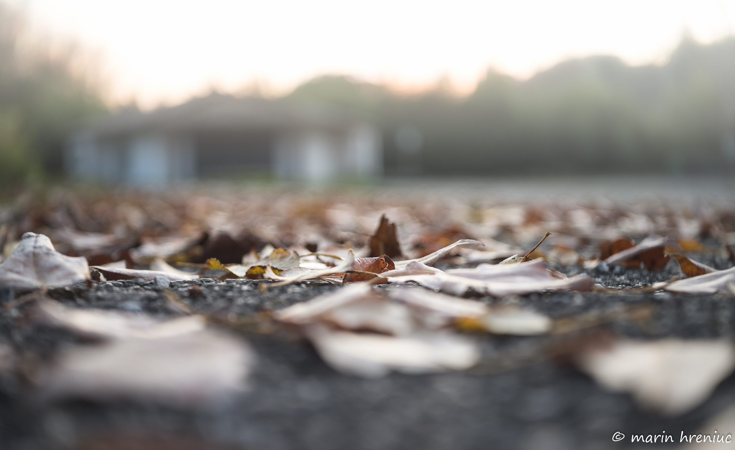 industar 50mm f/3.5 m42