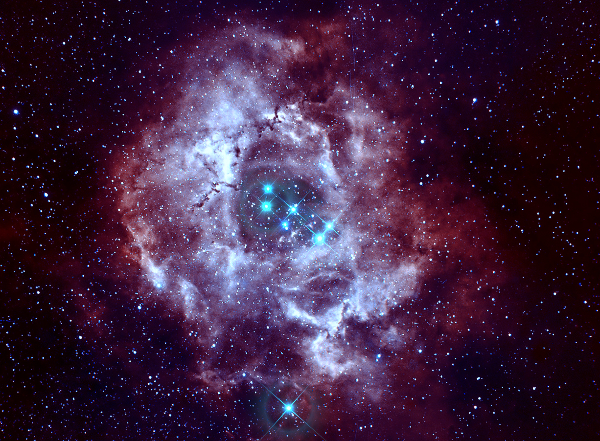Experiment Rosette Nebula in Bicolor False