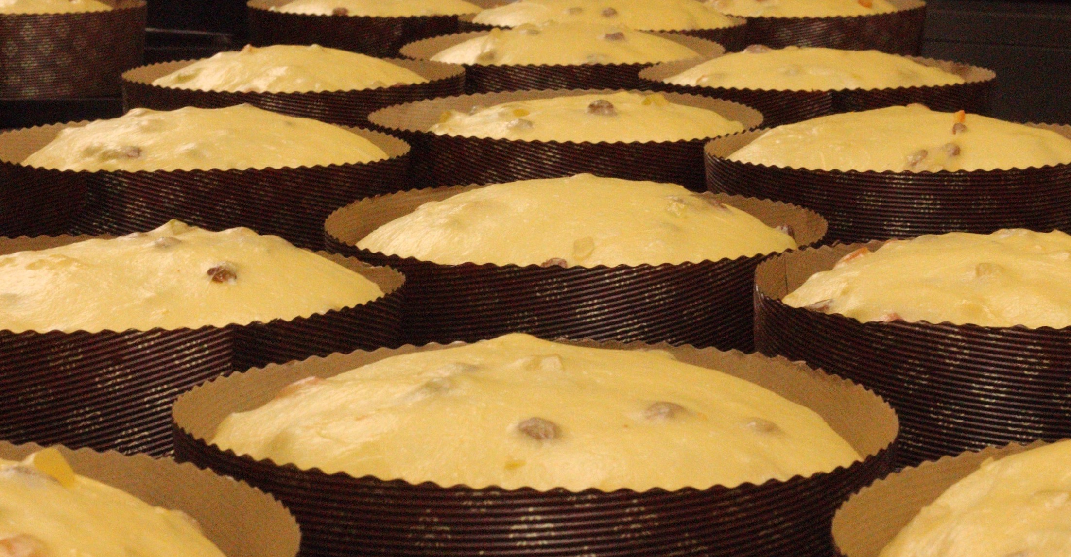 Preparing Christmas.