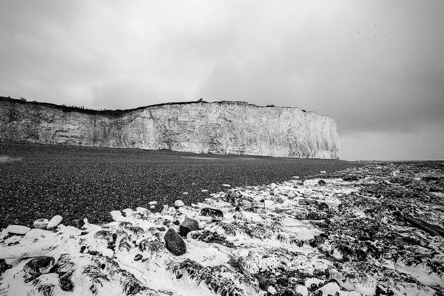 Seaford3