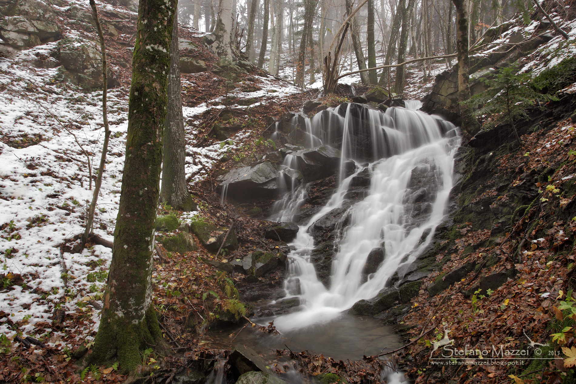 Fra Autunno e Inverno