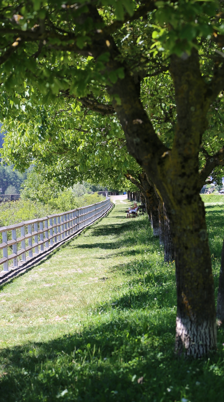 glimpse of the creek side promenade - Ziano