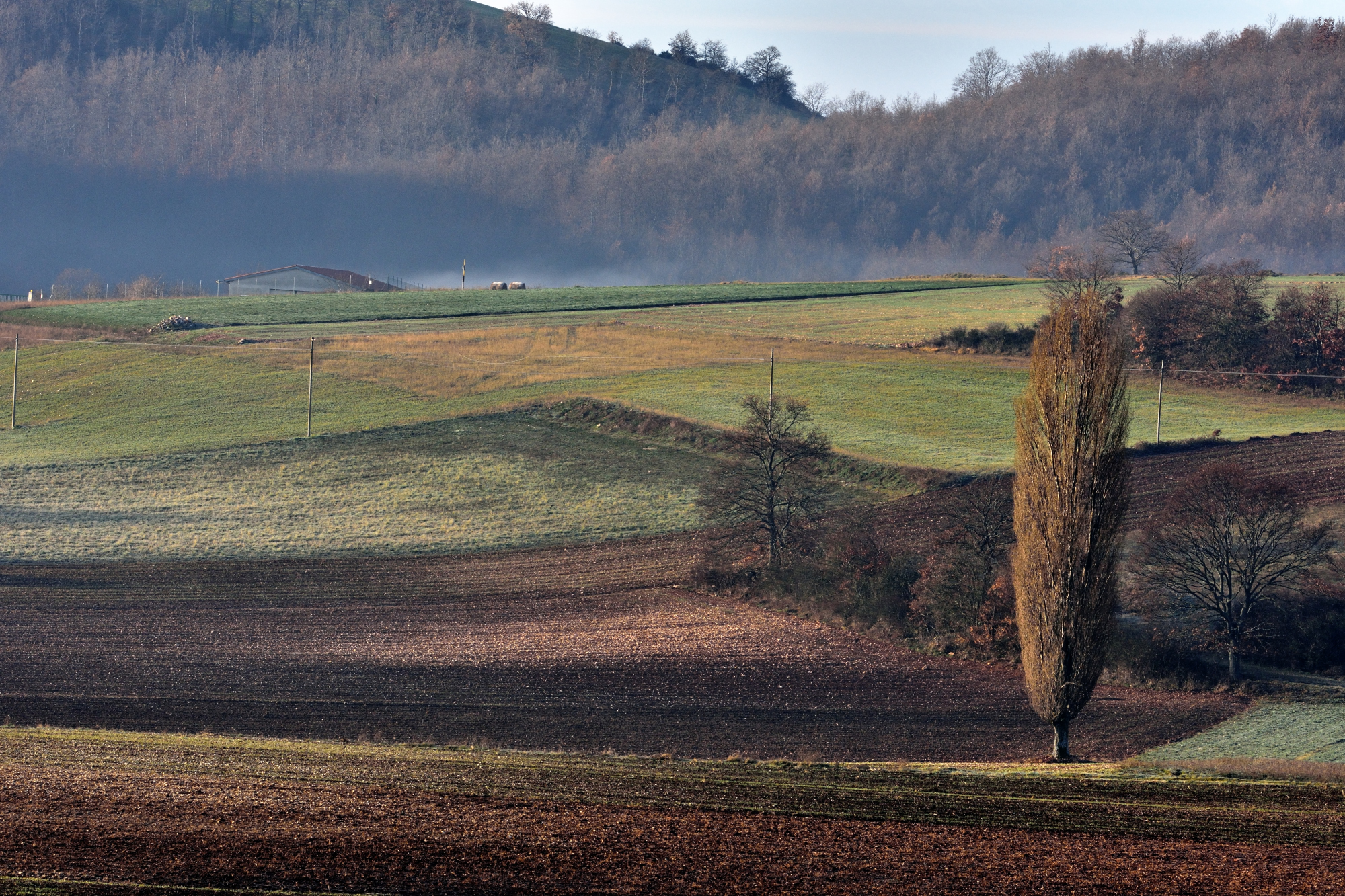 Paesaggio umbro di montagna
