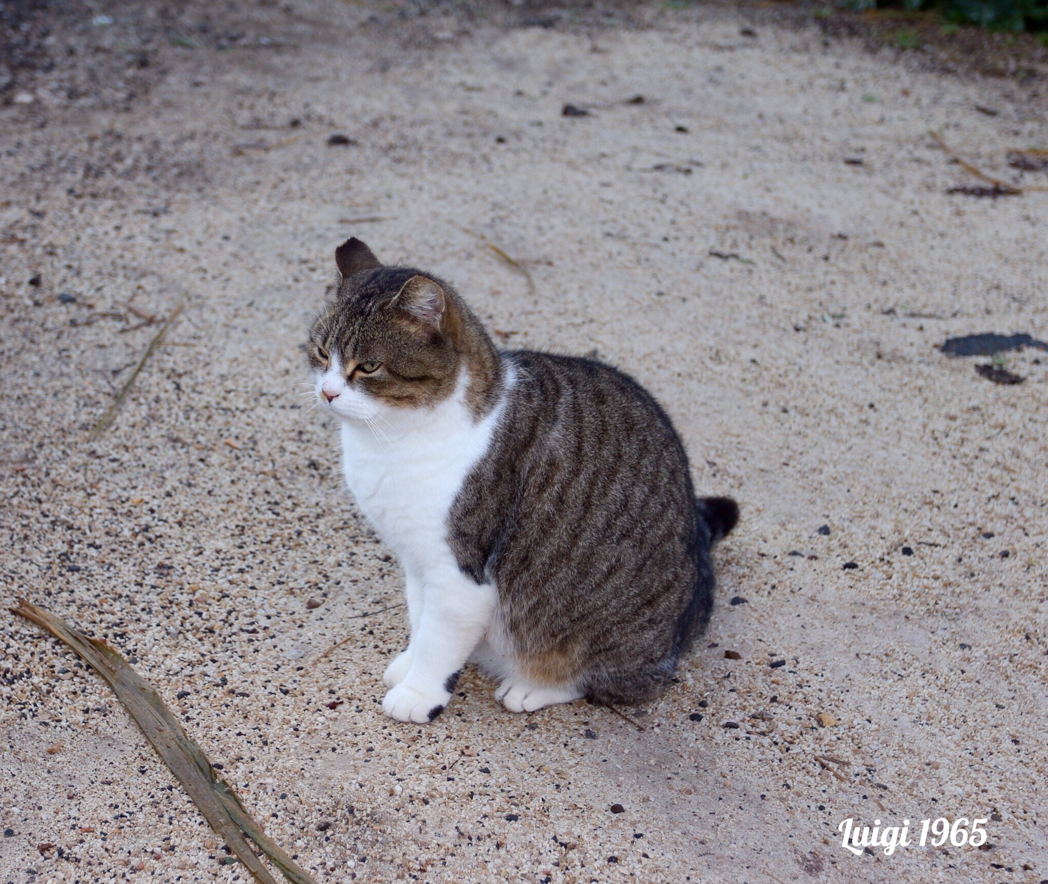 I was there that I shot and I felt observed.