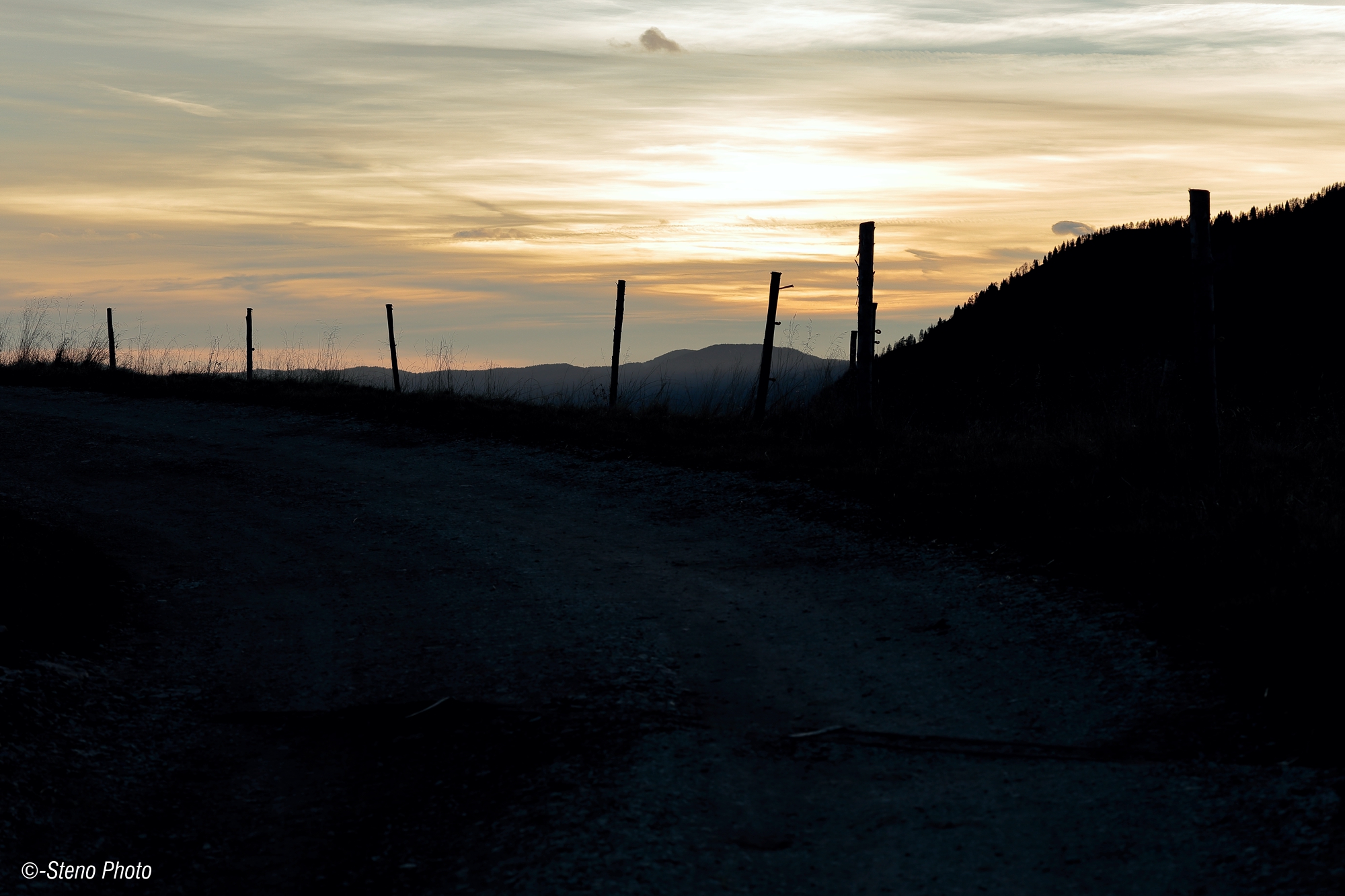 Forestale al tramonto