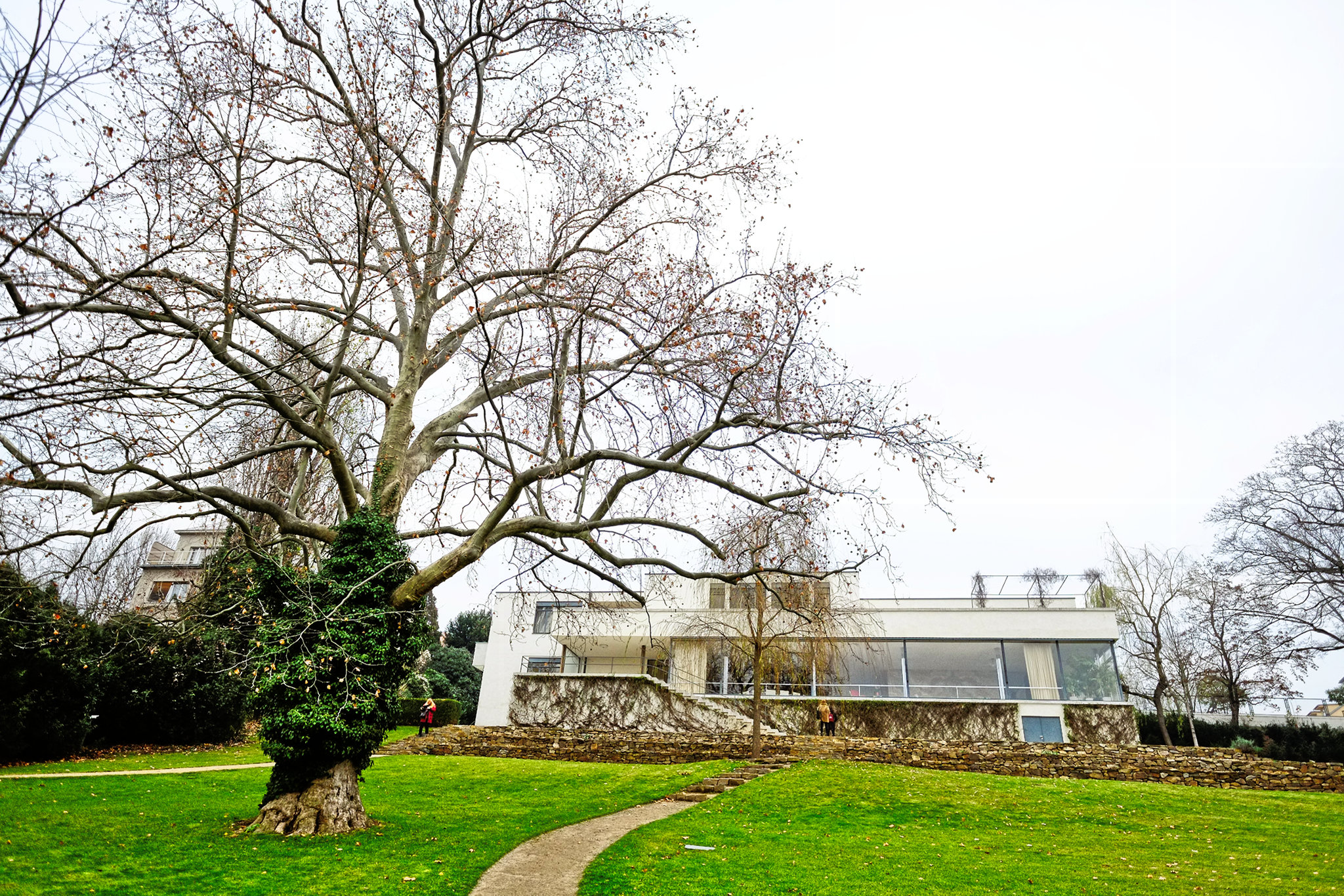 Villa accanto ad albero