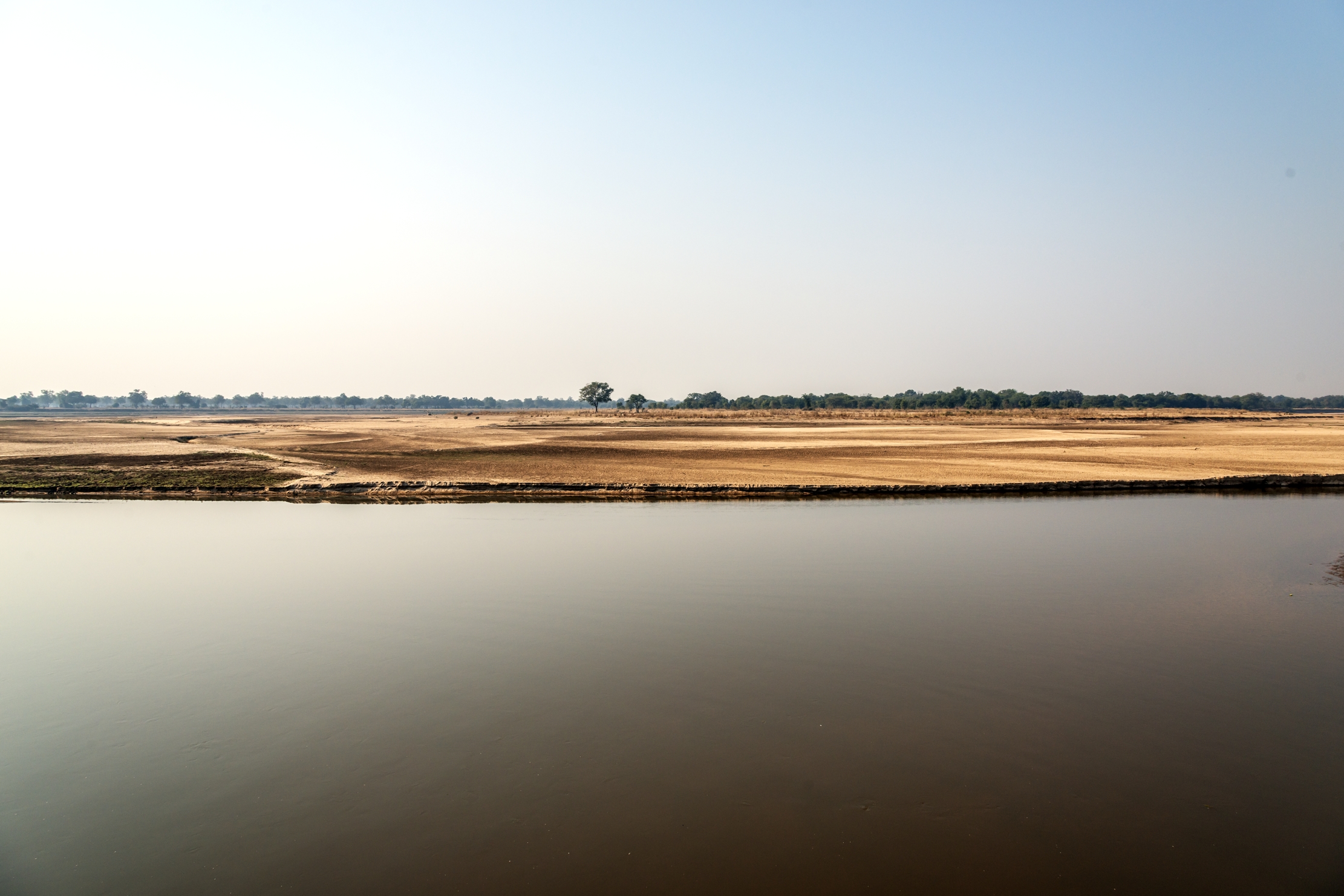 Zambia 2015 - Luangwa