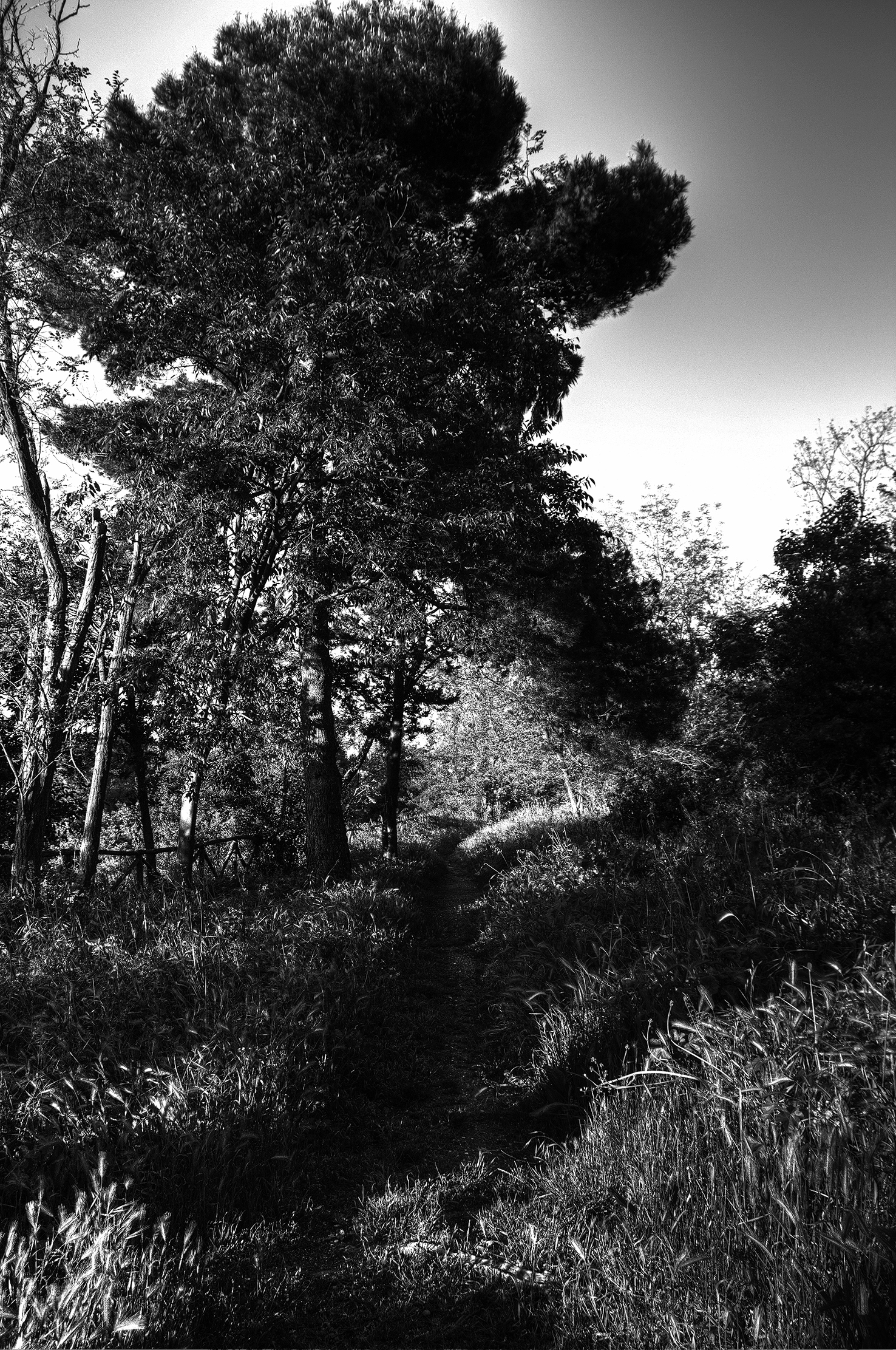 Cardeto Park - Ancona, Italy