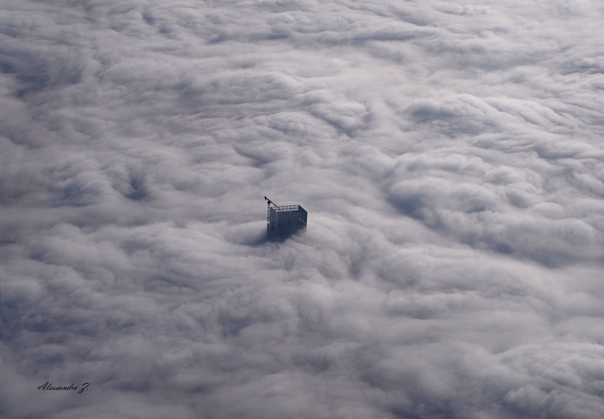 emerging from a sea of ??fog