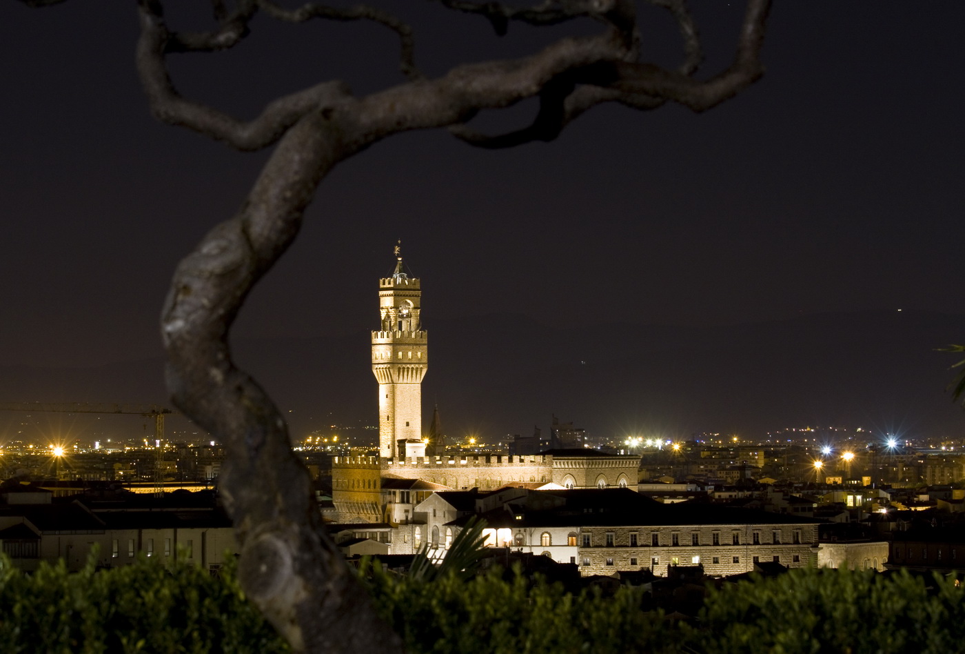 Firenze di notte