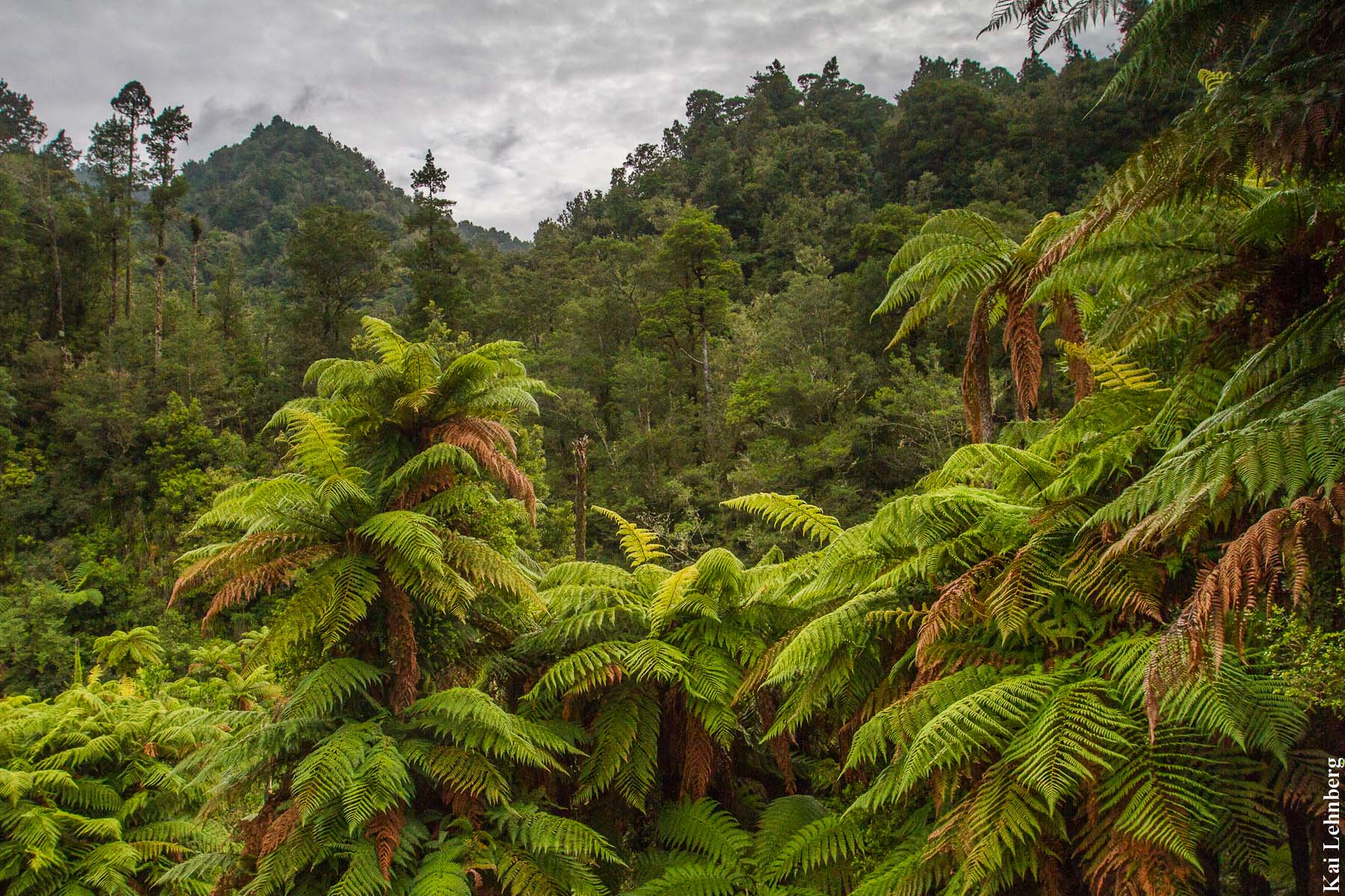 Urutawa - Opotiki, Nuova Zelanda