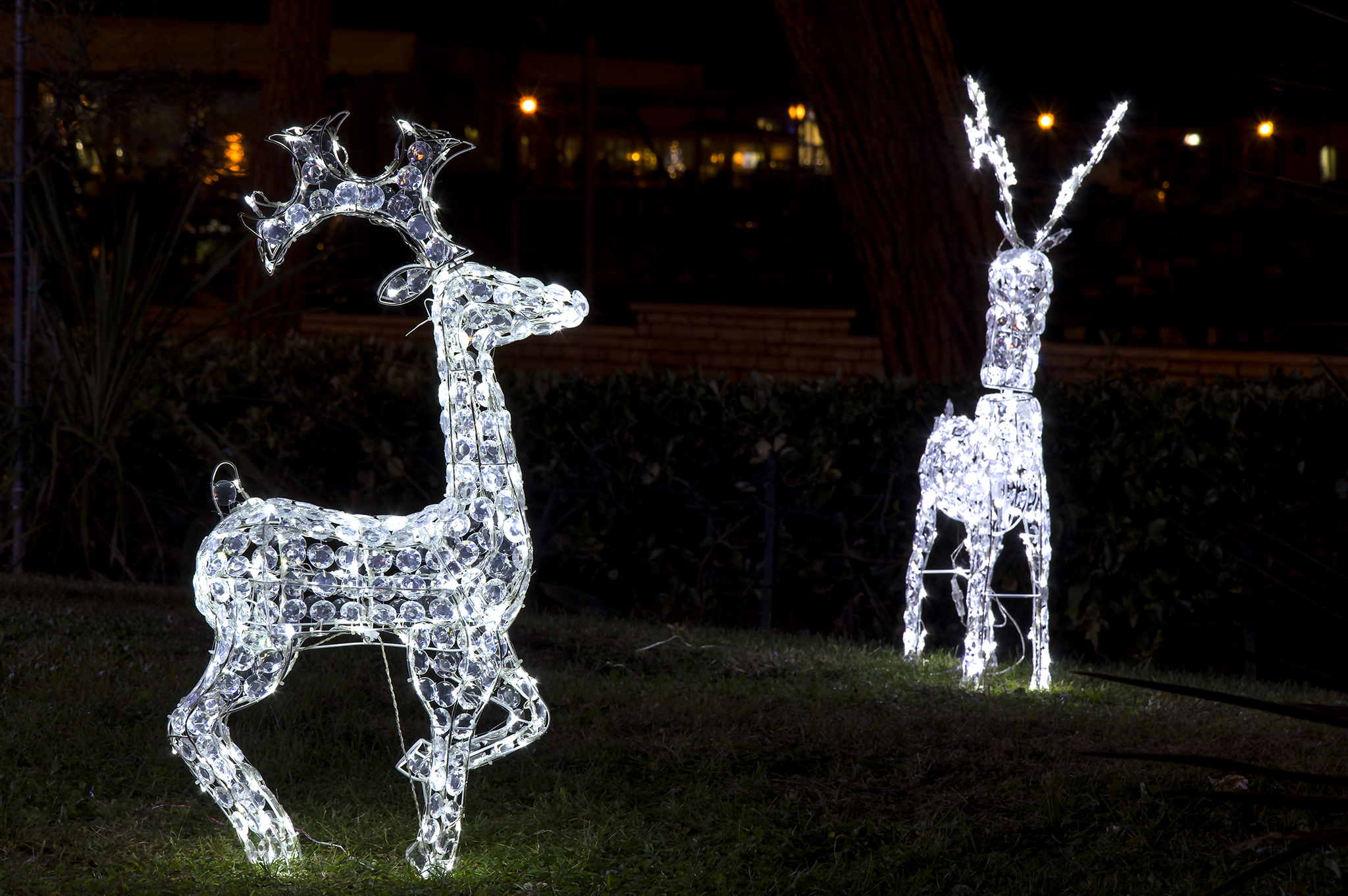 Natale fiabesco a Lerici