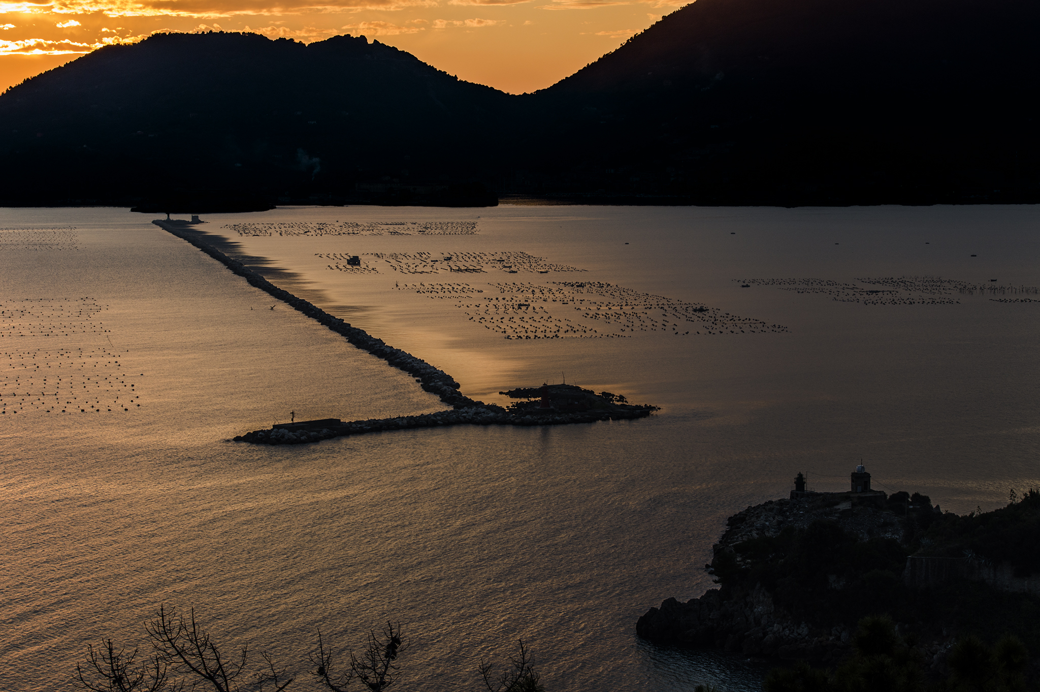 Diga foranea, varco di Levante