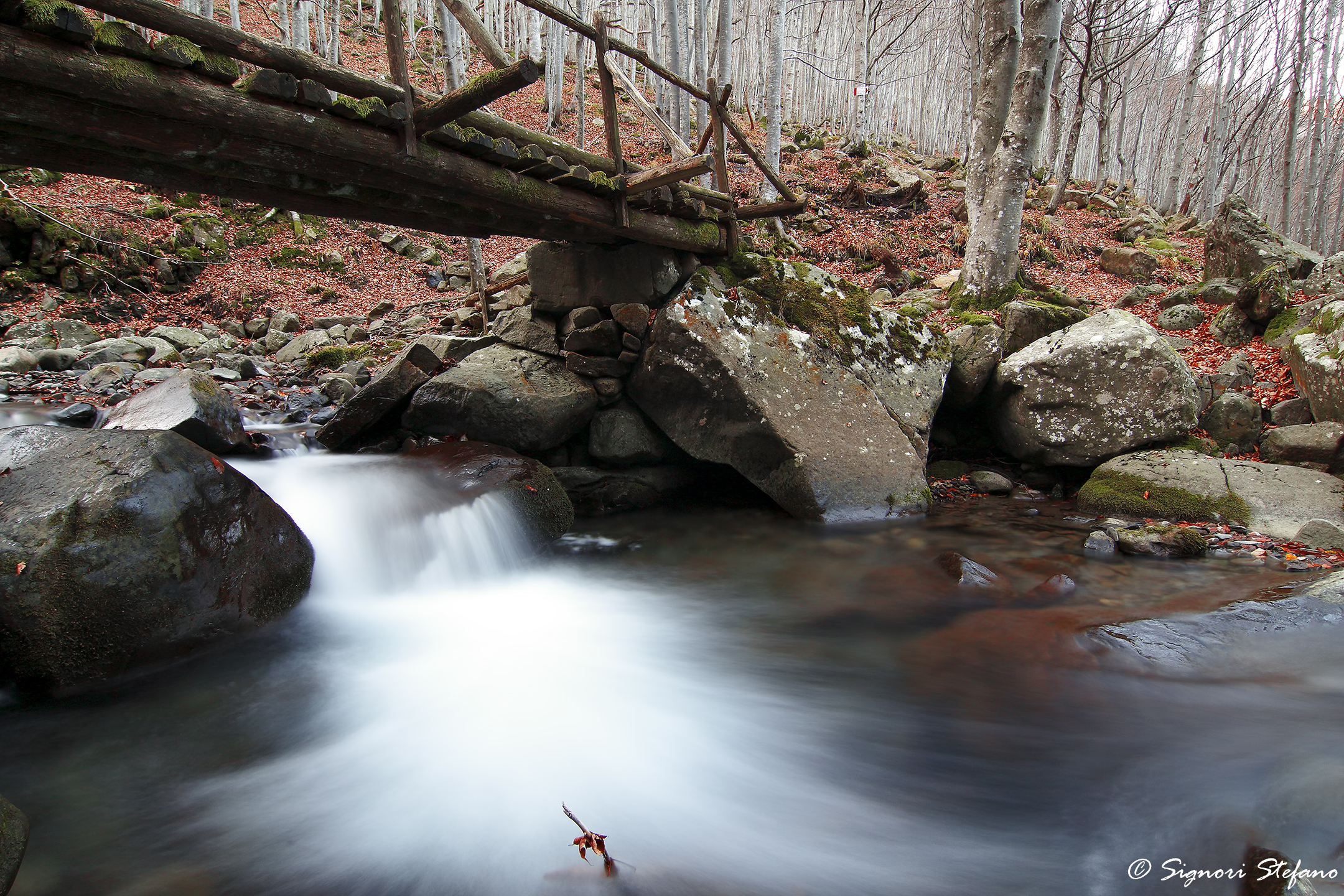 Prima uscita al "Dardagna"
