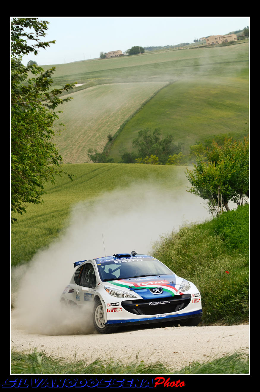 Peugeot 207 s2000 - Andreucci-Andreussi