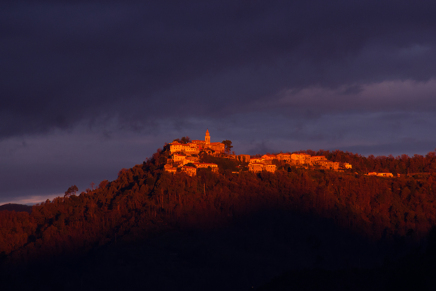 Kissed by the morning light
