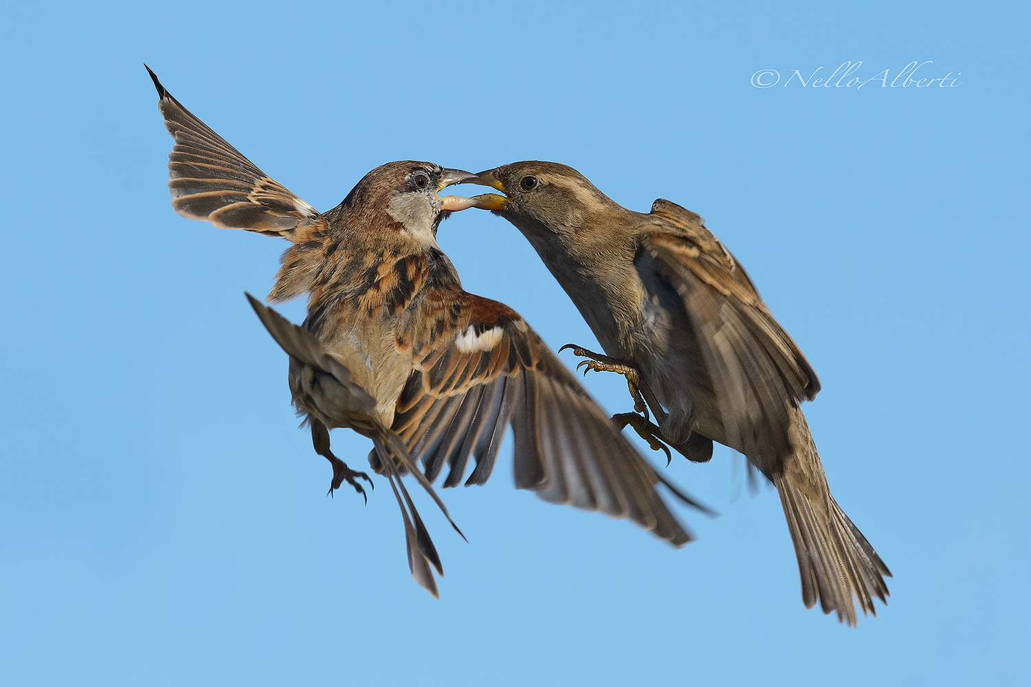 non c'è rispetto neppure x le signore !!