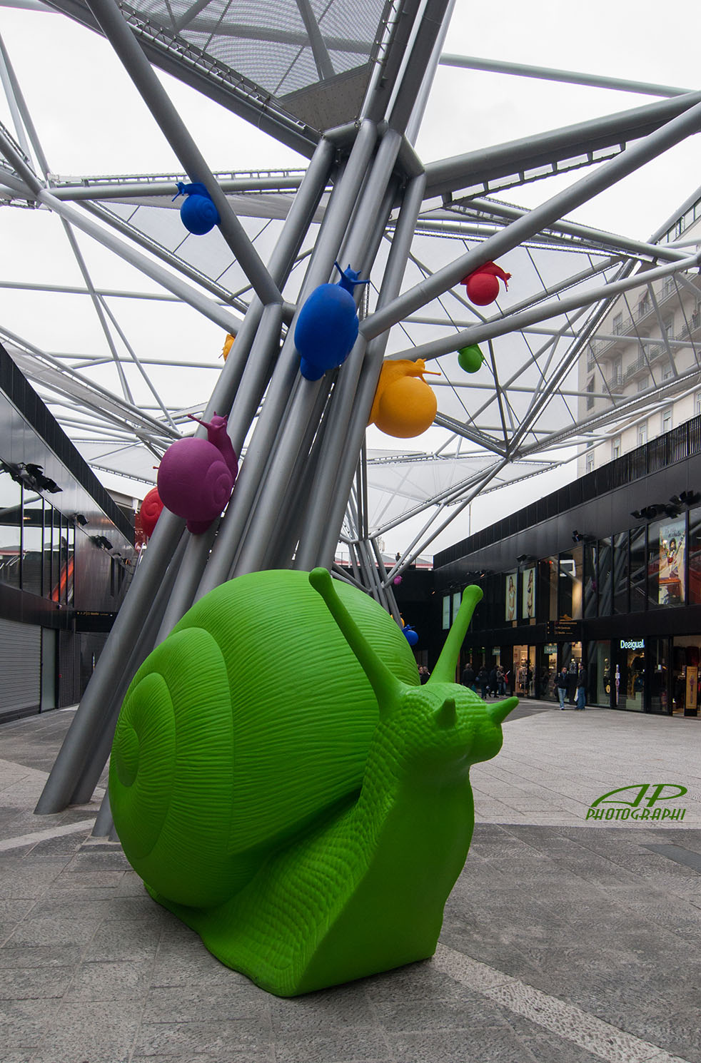 Invasion of snails in Naples
