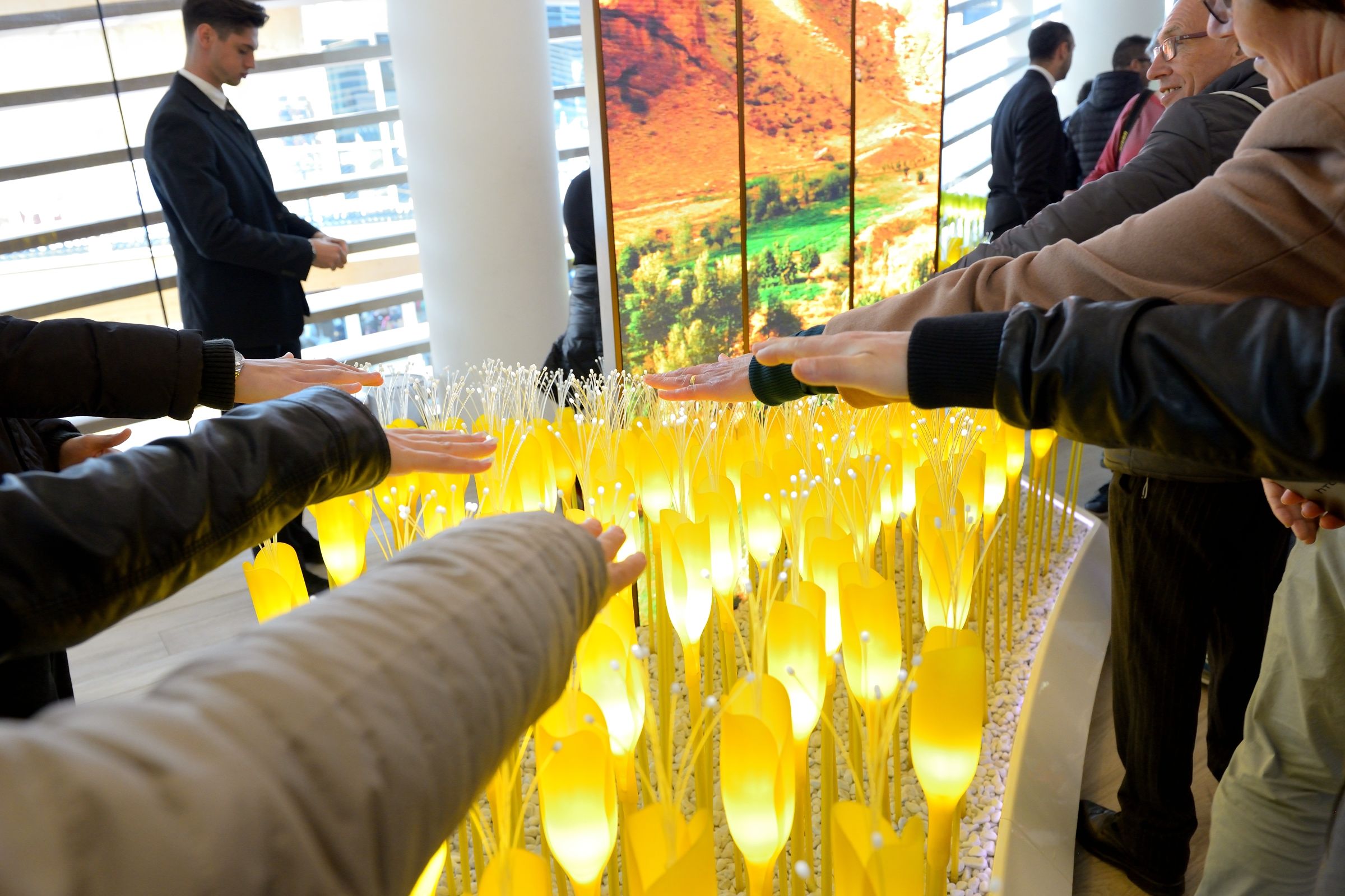 Abstention and teamwork to feed the planet