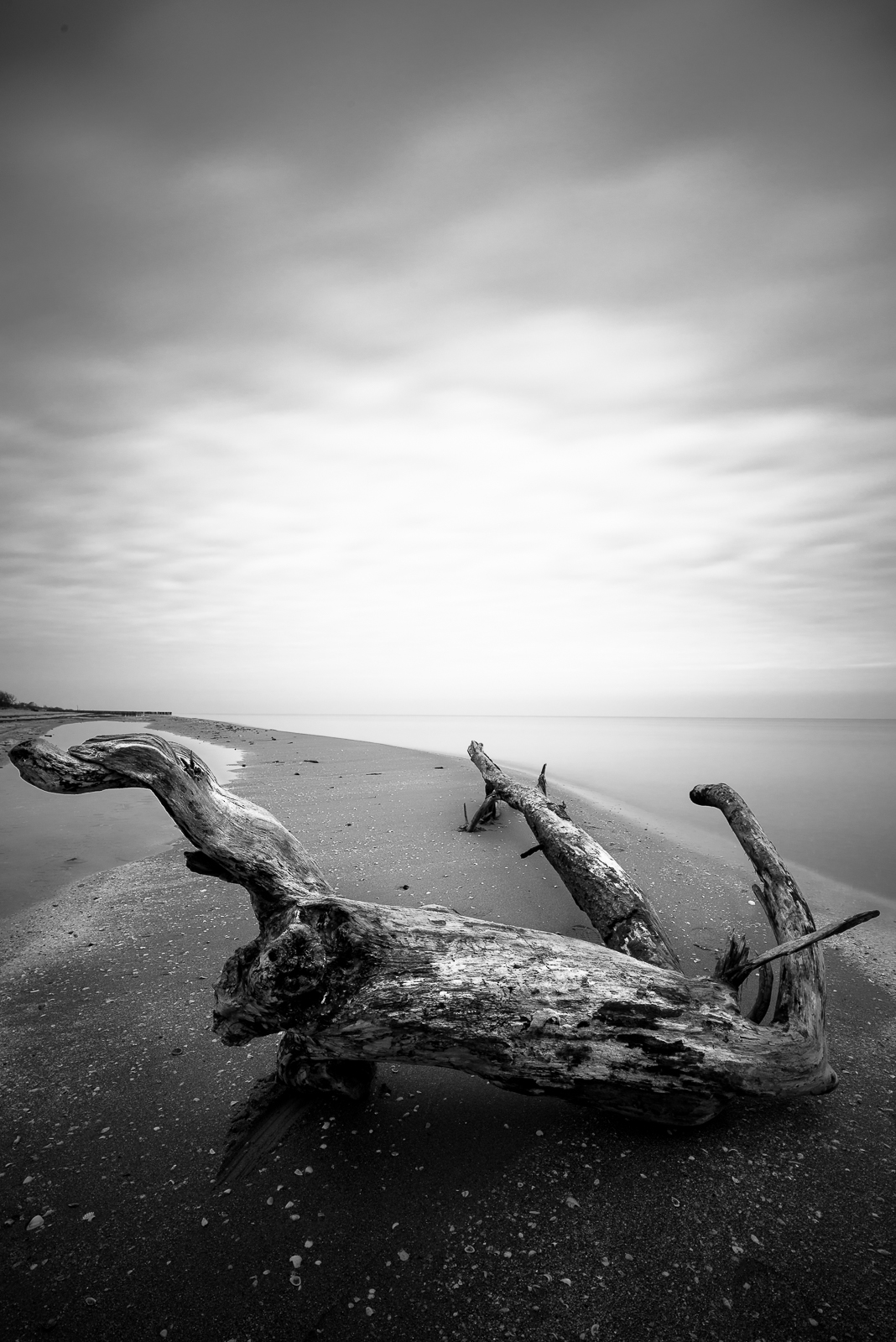 Spiaggia di Boccasette in B&N