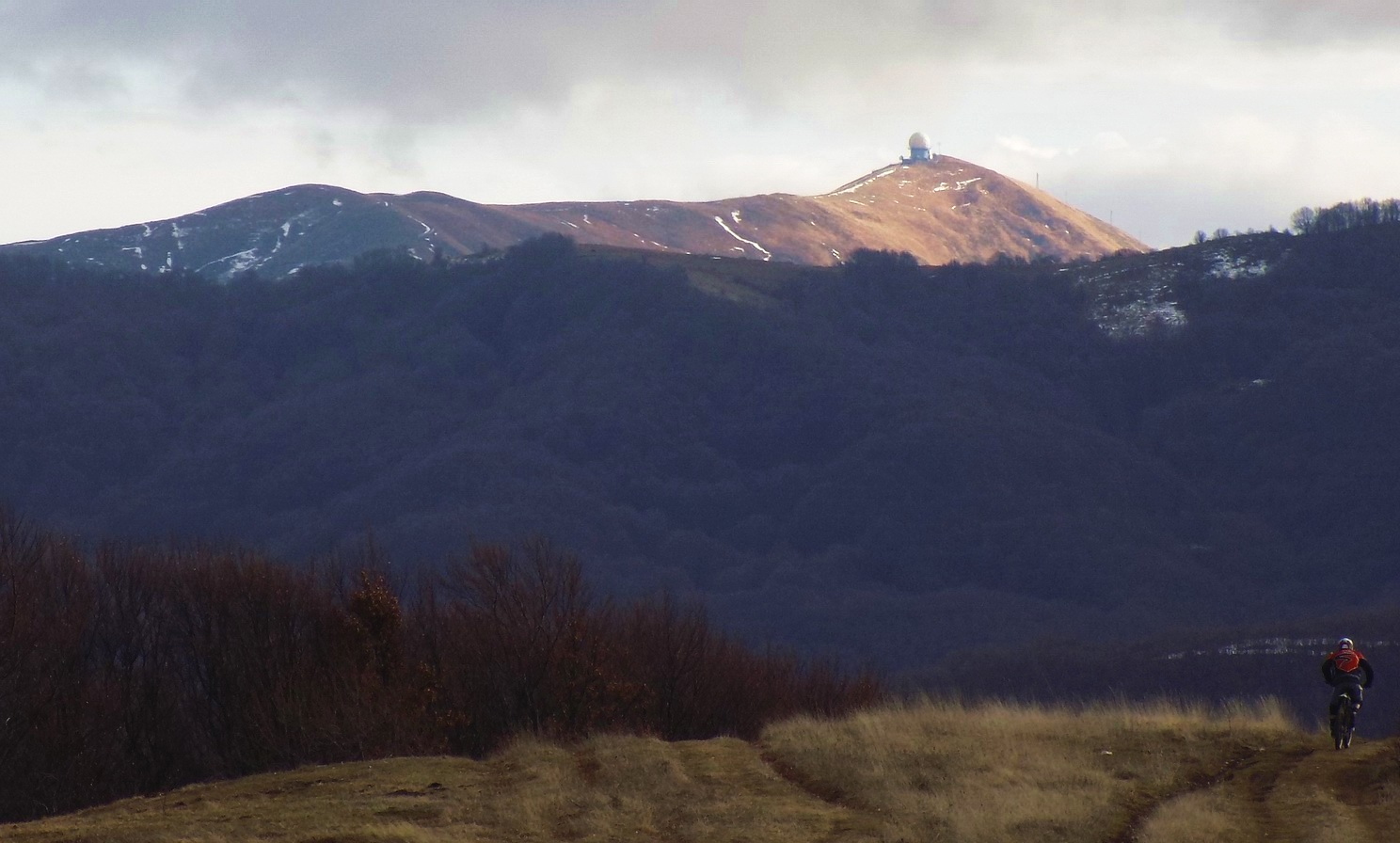 Il monte Lesima (m.1724)