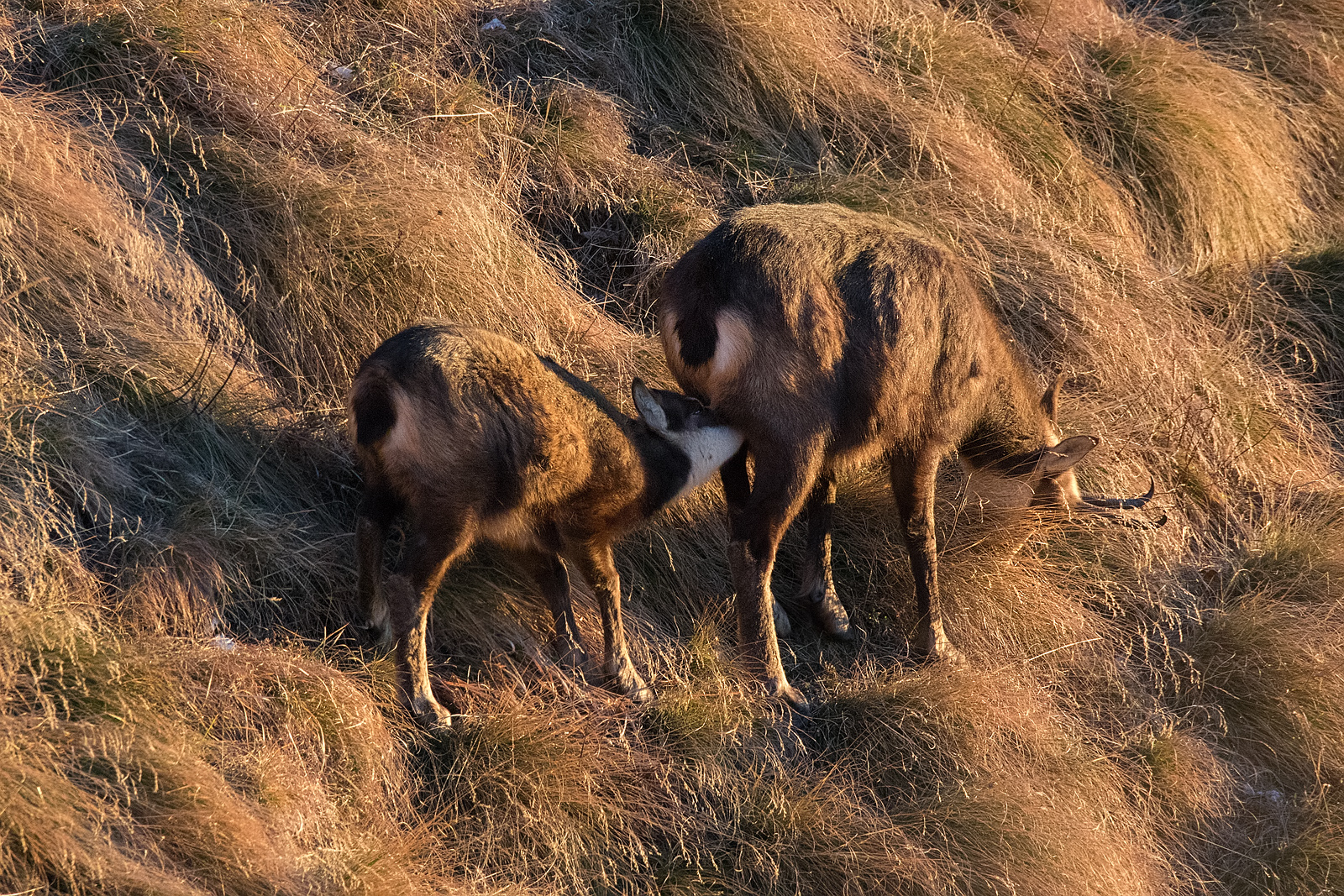 Back to the beginning