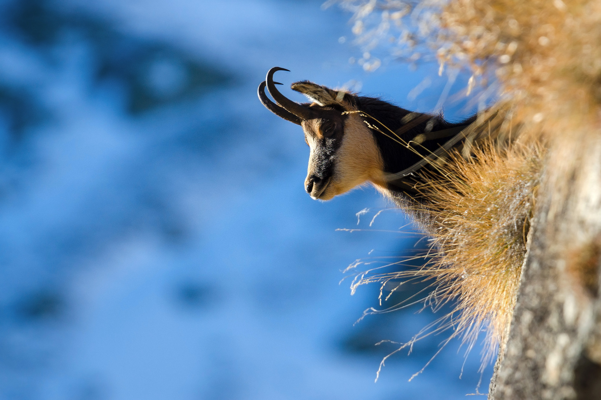 ..not are the only one to look at the view