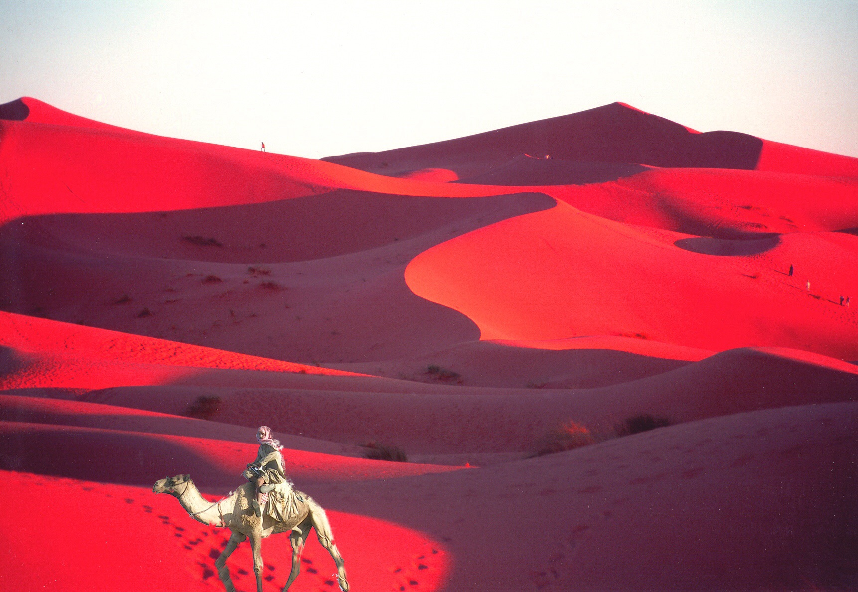 Merzouga dunes