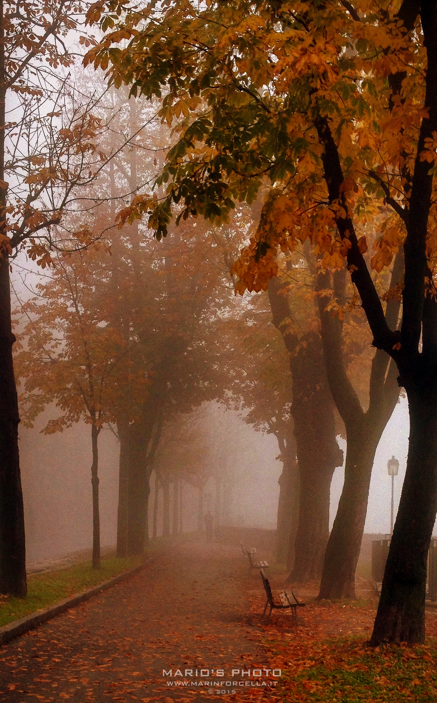 Autumn in Upper Town
