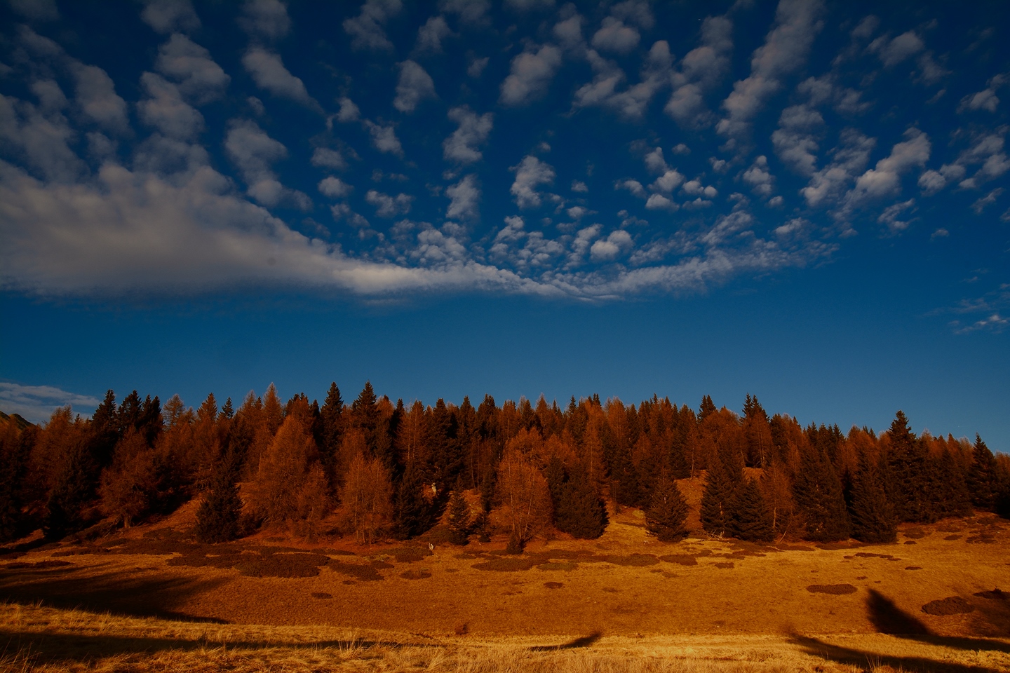 Pastures, forests and sky.