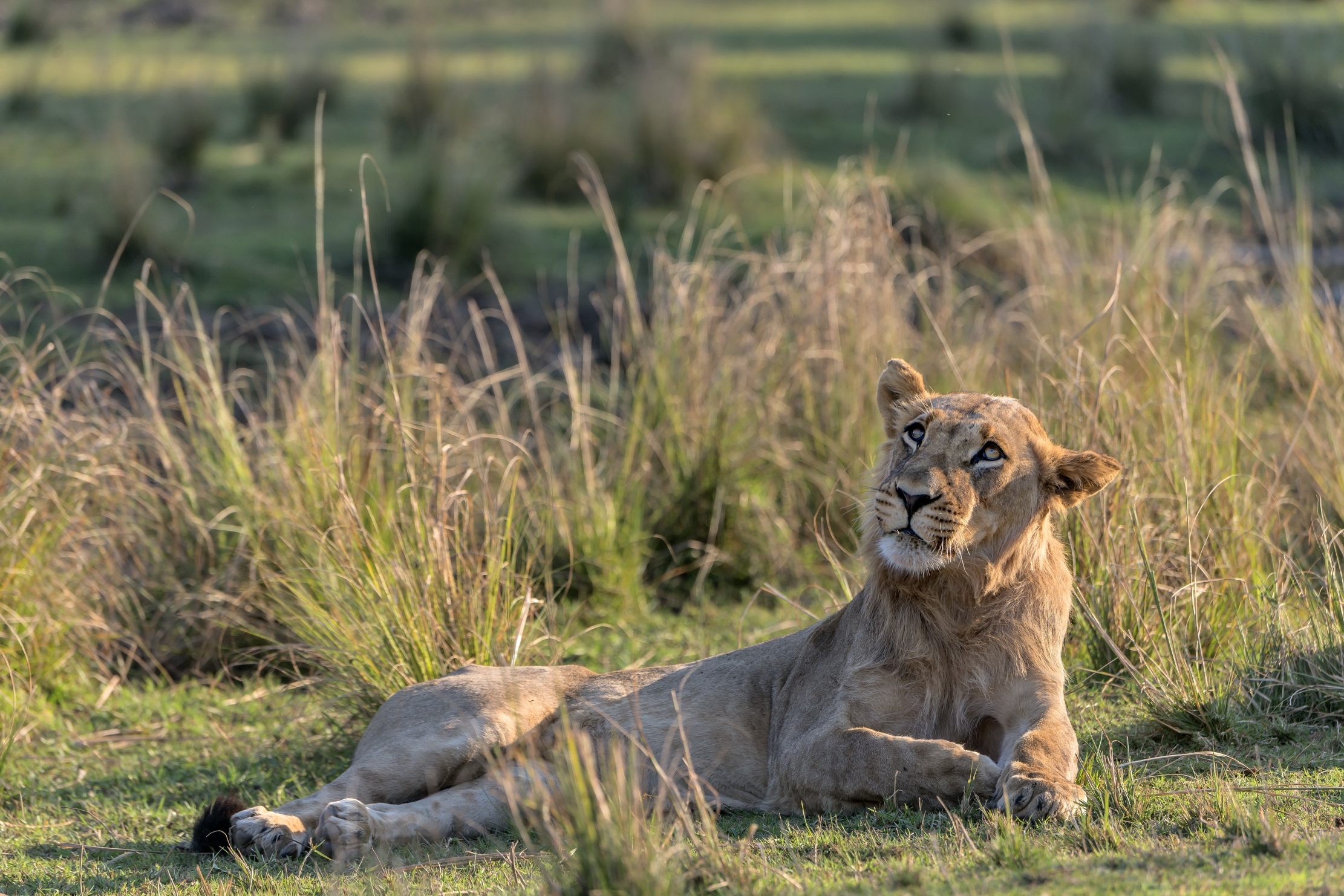 Zambia 2015 - ...che pensieri...