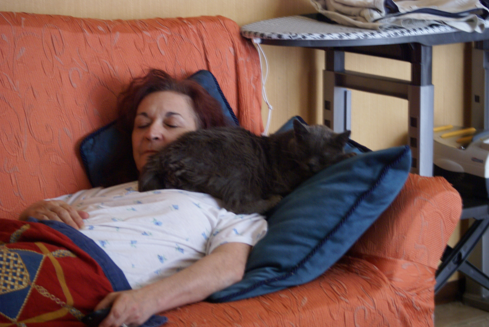 your Mio cat and my dog