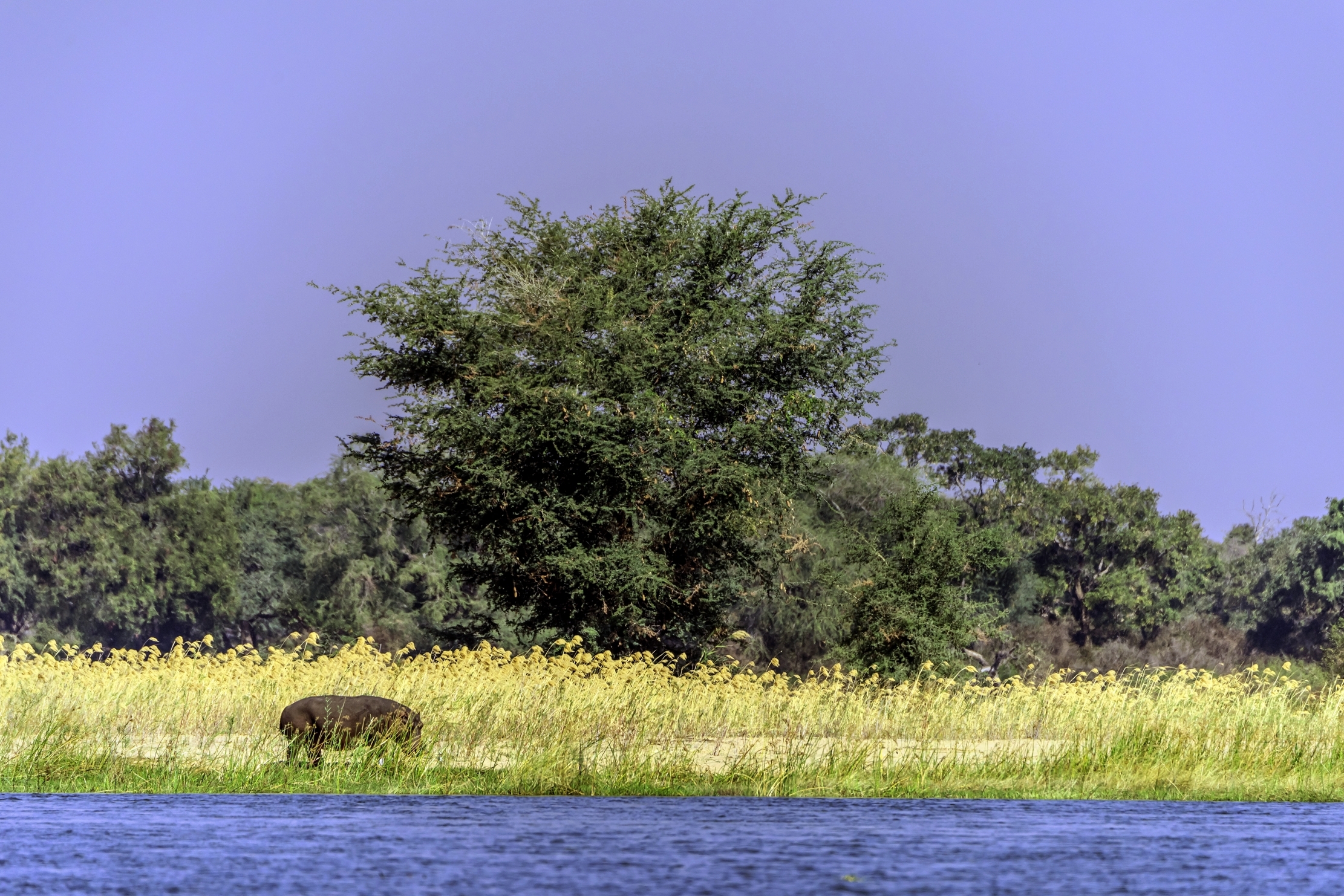 Zambia 2015 - Zambesi river