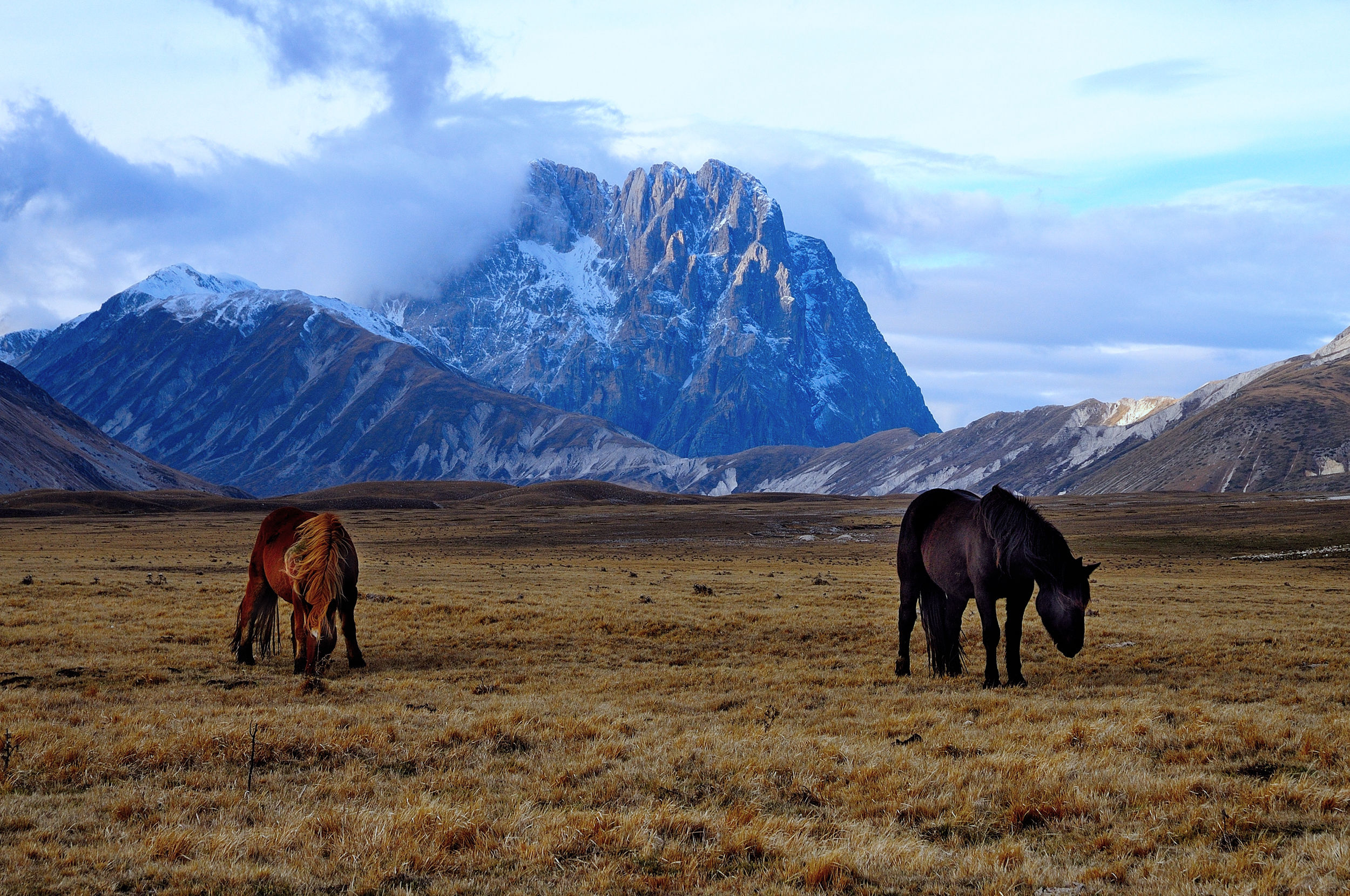 cavalli e gran sasso