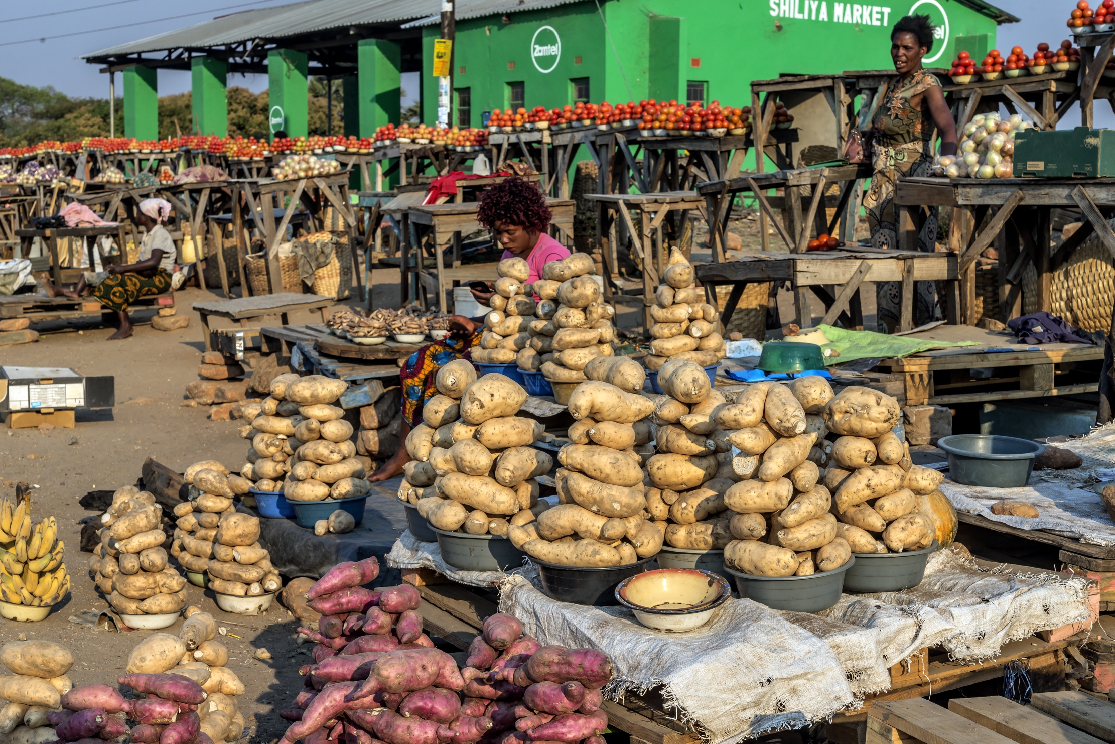 Zambia 2015 - Sulla strada, vicino Lusaka