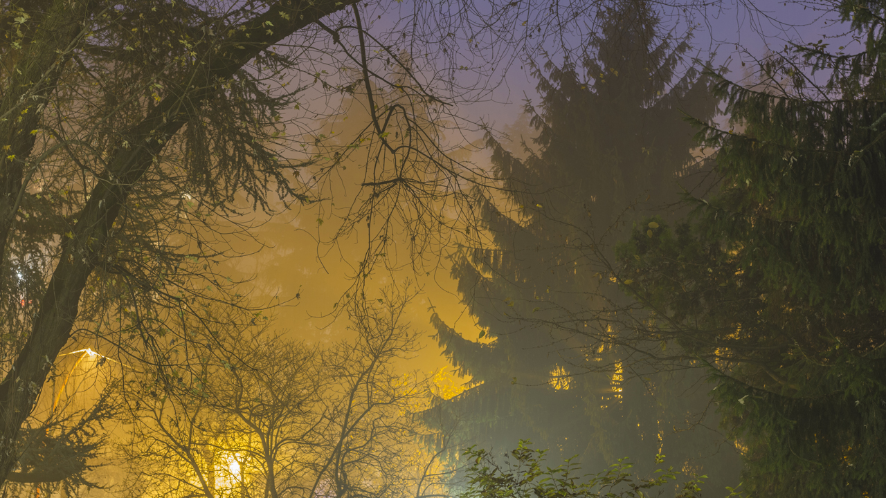 notte piena di colori