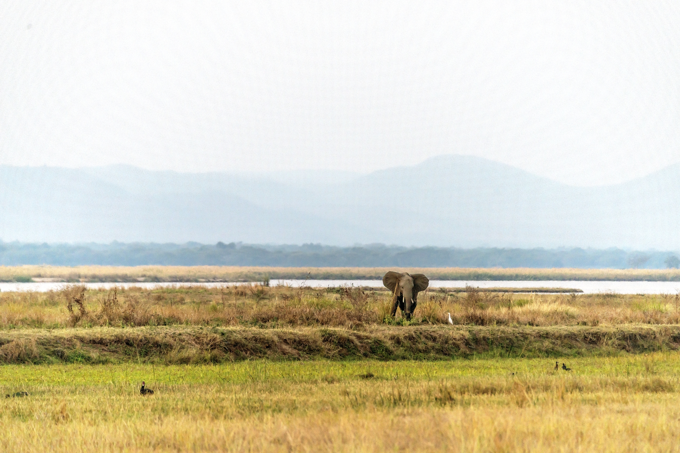 Zimbabwe 2015 - Lo Zambesi al crepuscolo