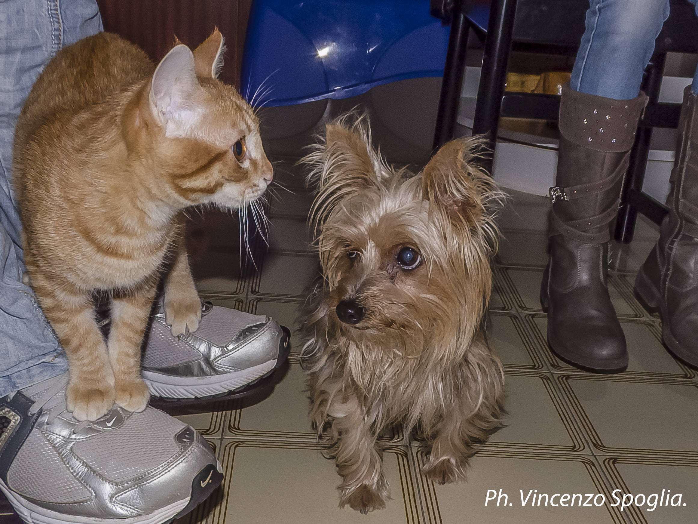 Tommy e Barbie fanno amicizia