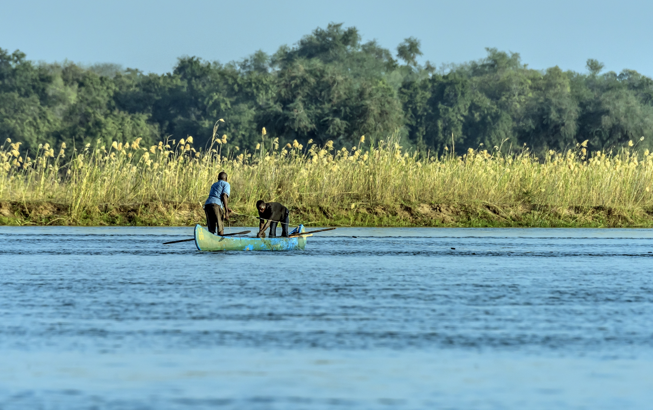 Zambia 2015 - Sullo Zambesi