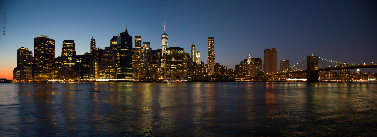 Lower Manhattan skyline 2