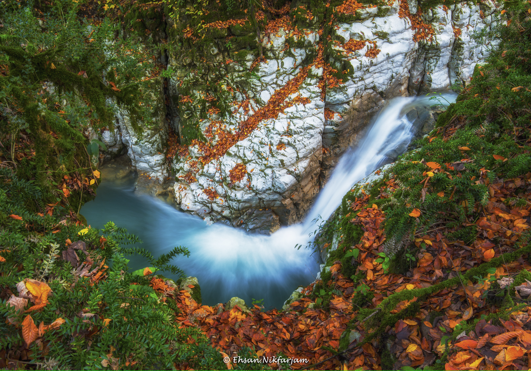 Waterfall In The Forest