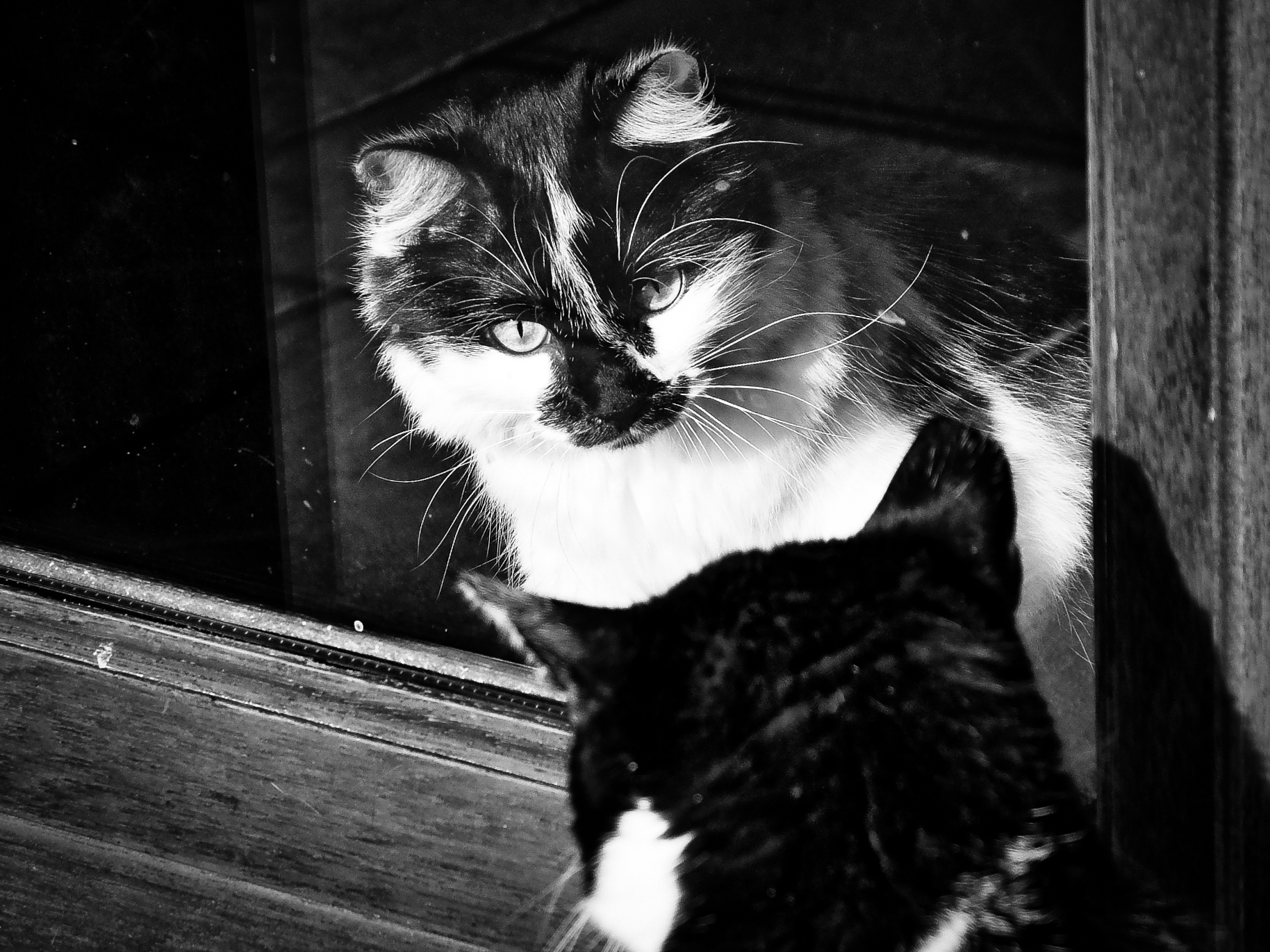 In & Out (Musetta & Mathieu) 2