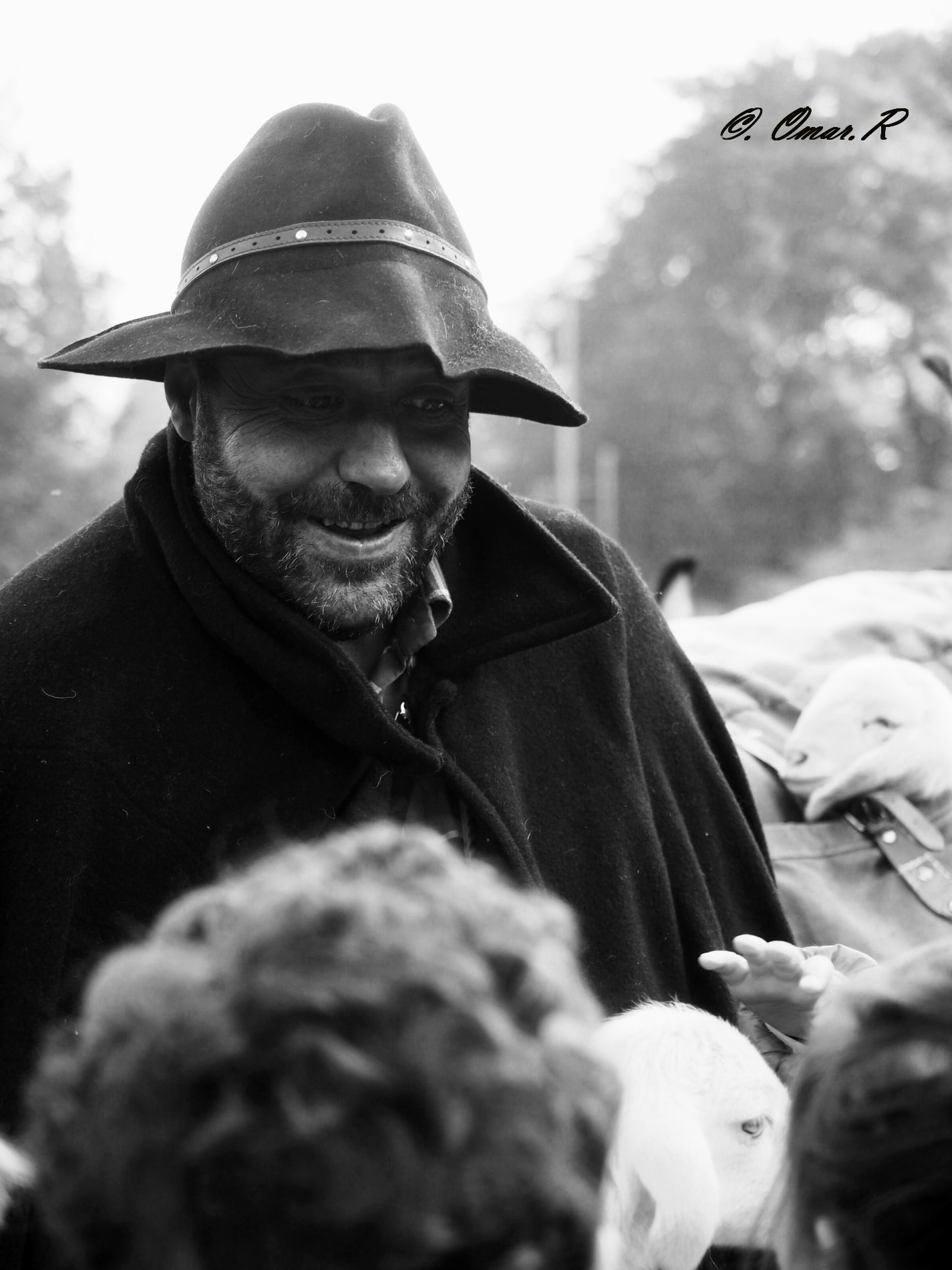 Il pastore in città