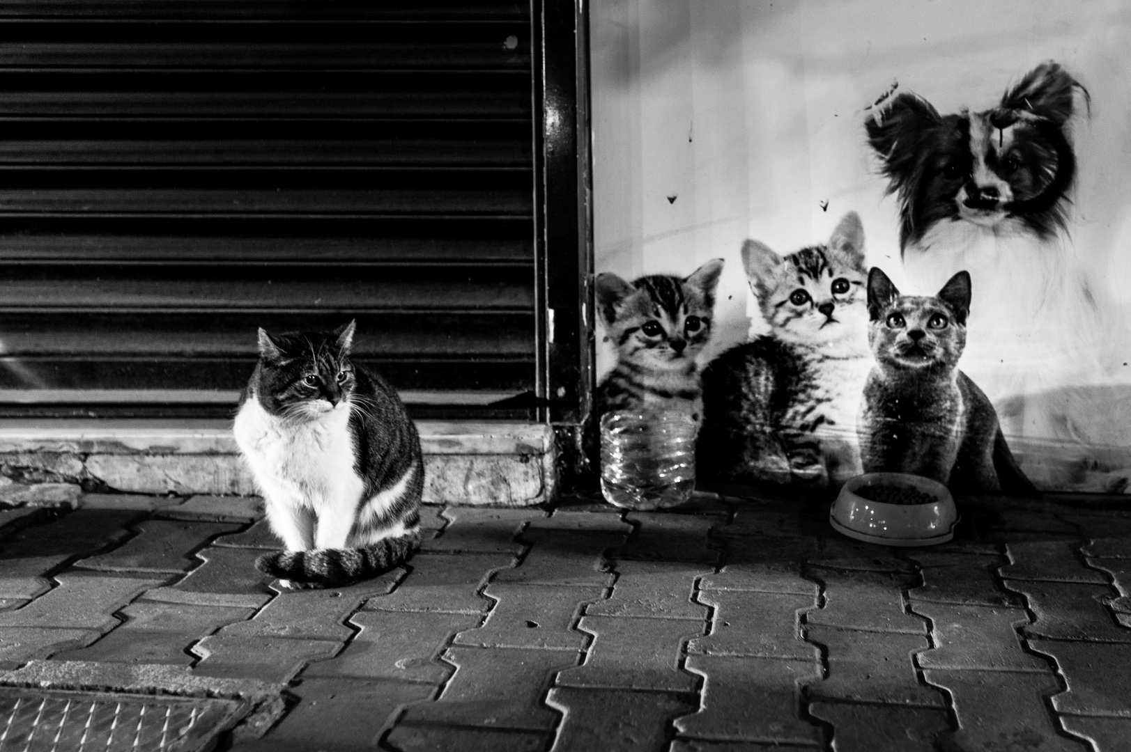 Gli amici immaginari